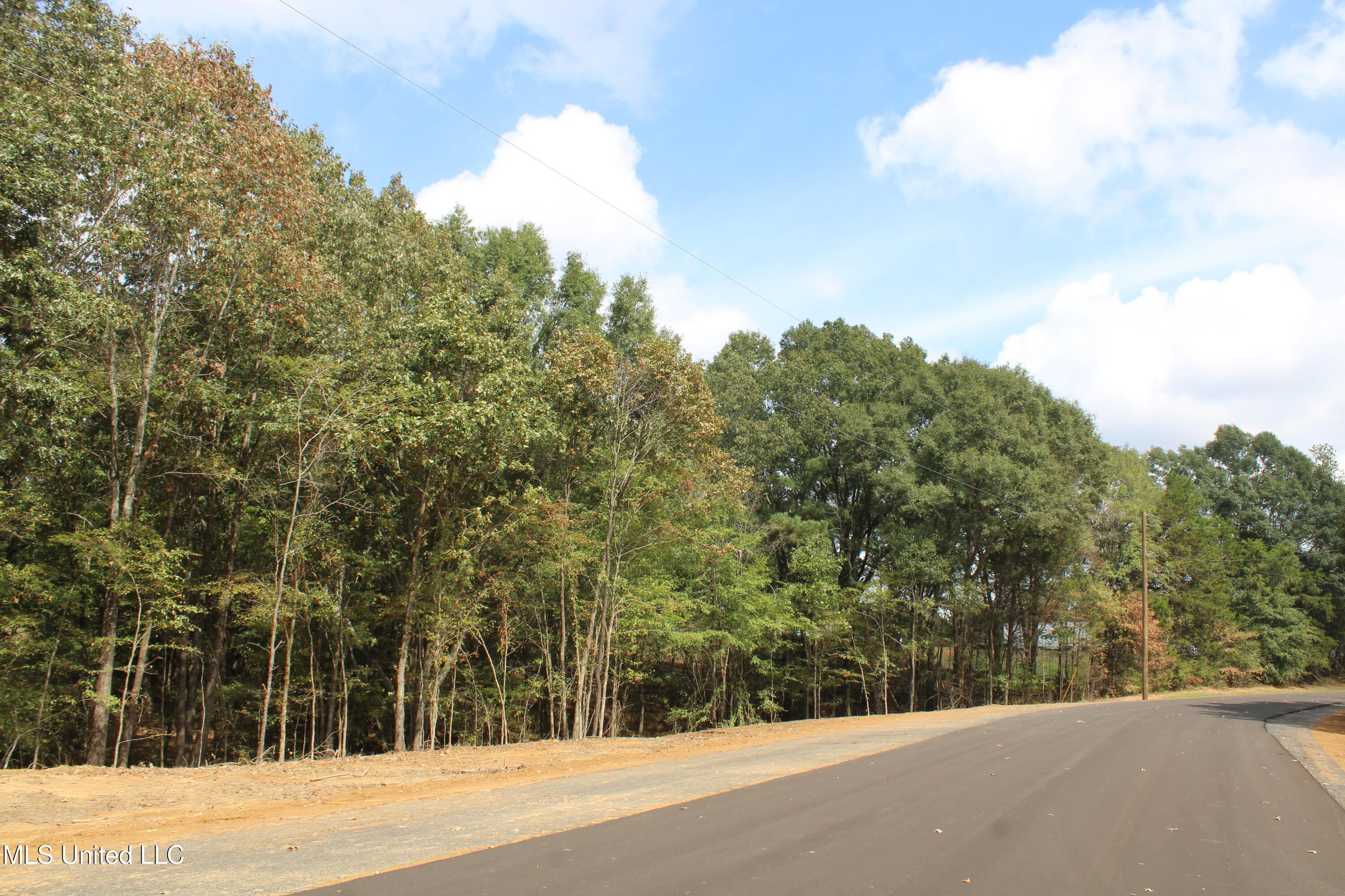 7 Hickory Hollow Road Property Photo 19