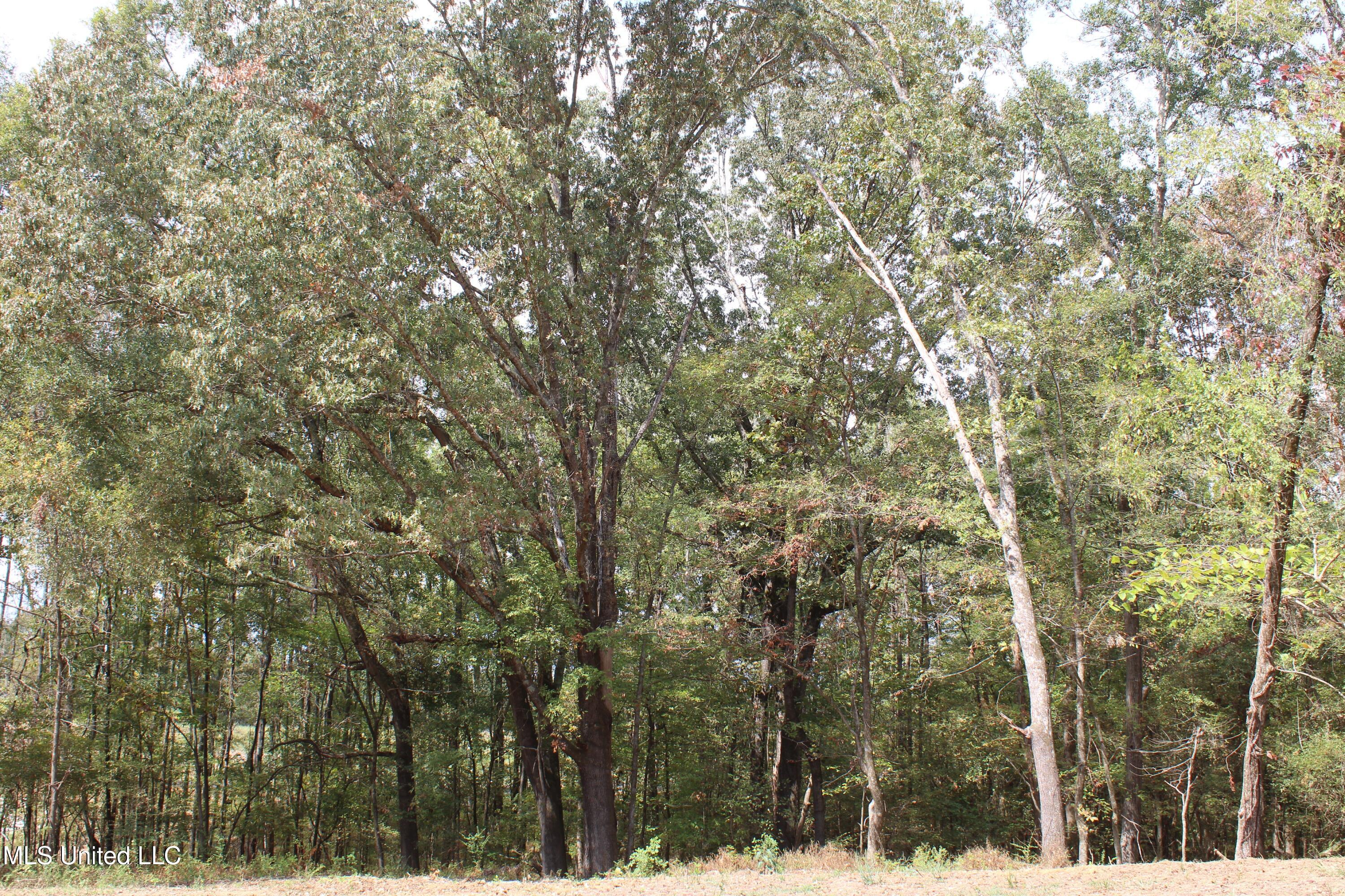 7 Hickory Hollow Road Property Photo 29