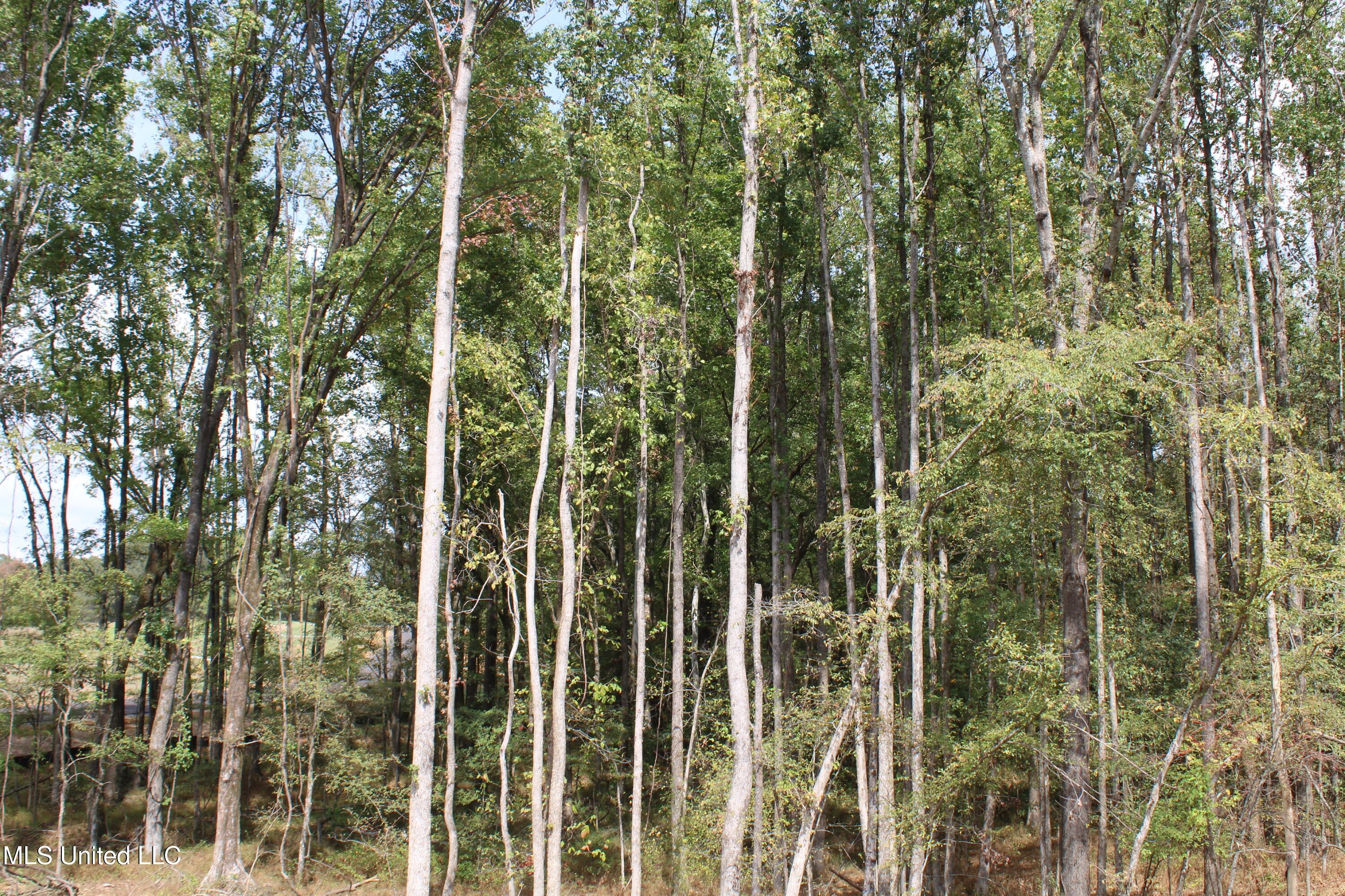 7 Hickory Hollow Road Property Photo 31