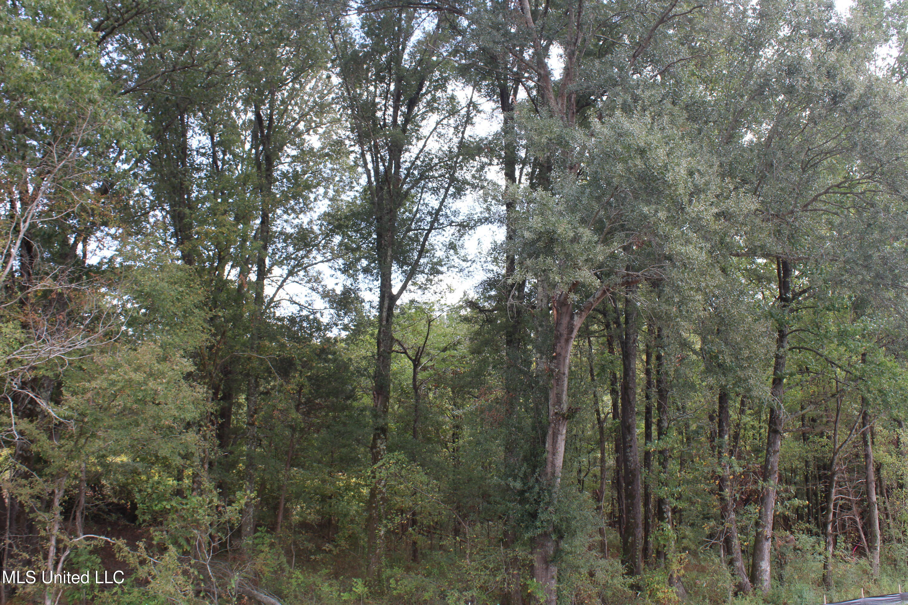 7 Hickory Hollow Road Property Photo 38