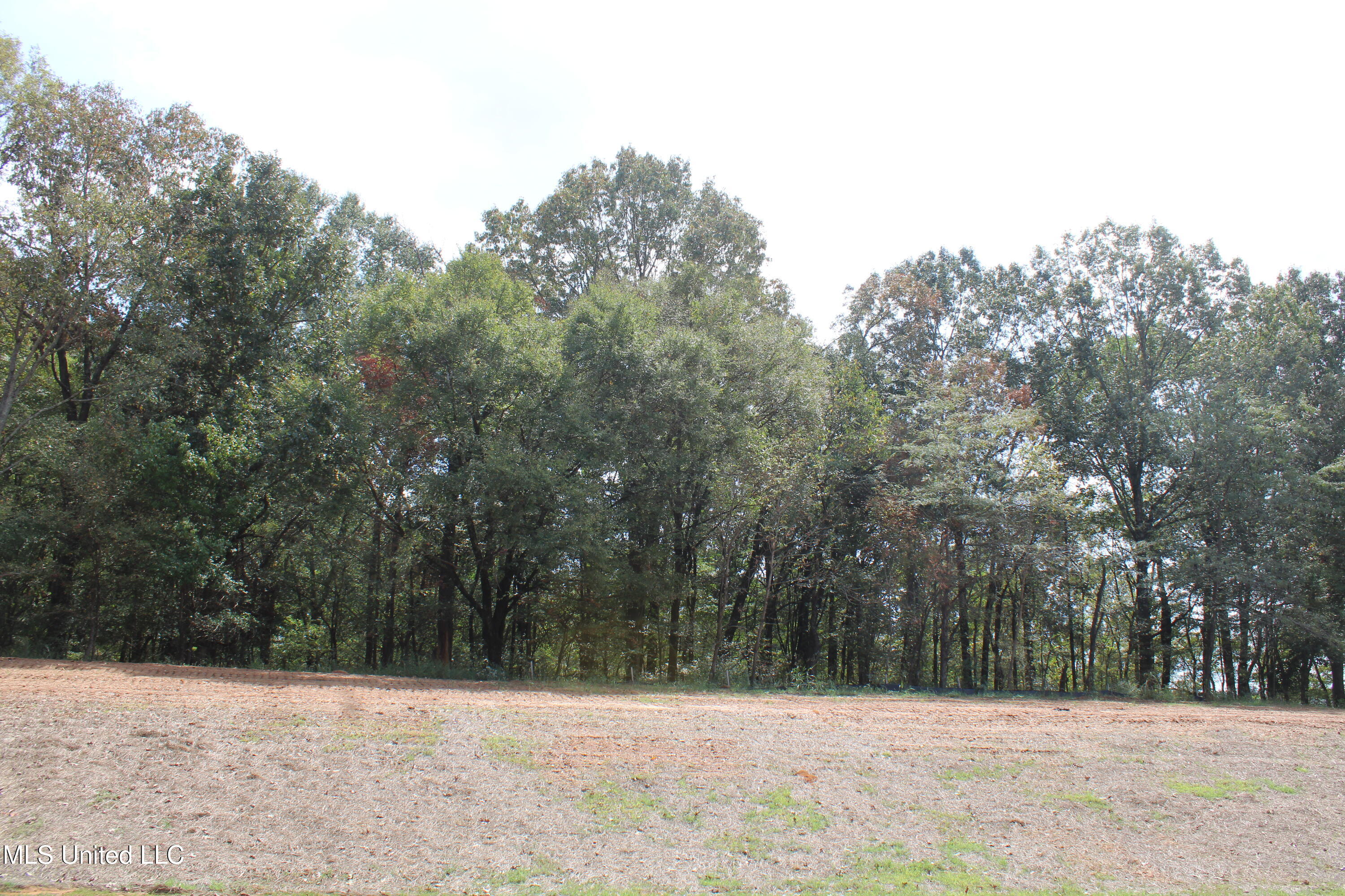 9 Hickory Hollow Road Property Photo 8