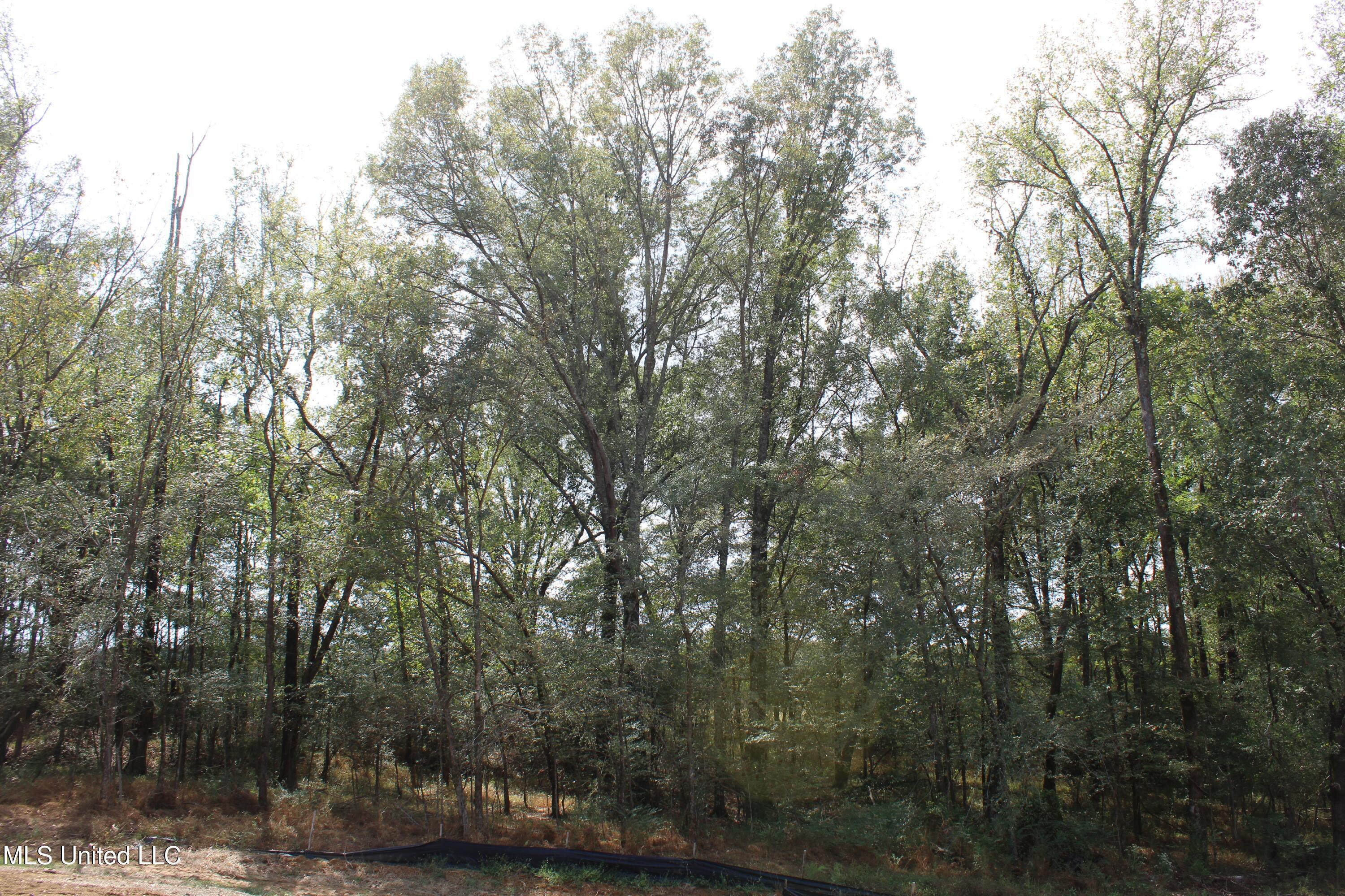 9 Hickory Hollow Road Property Photo 13