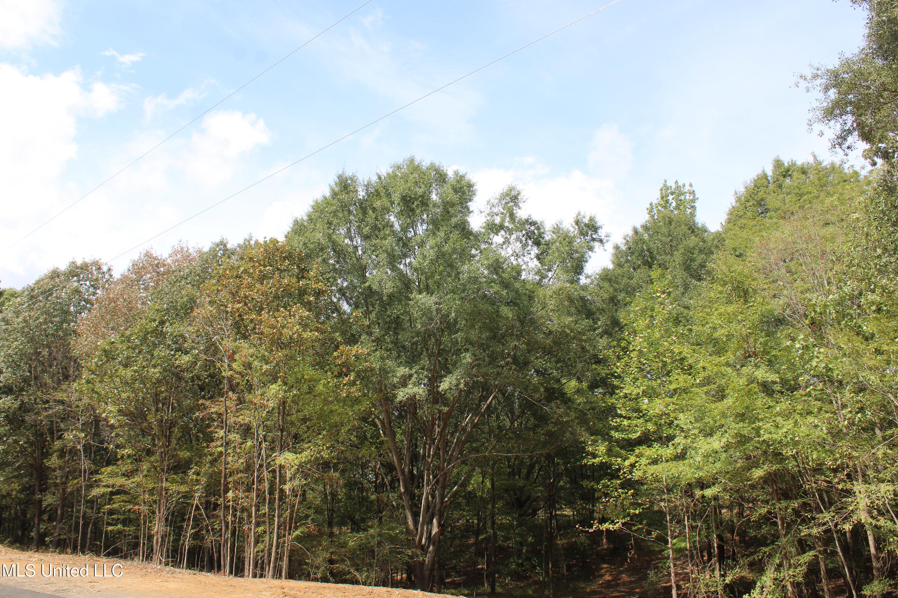 9 Hickory Hollow Road Property Photo 22