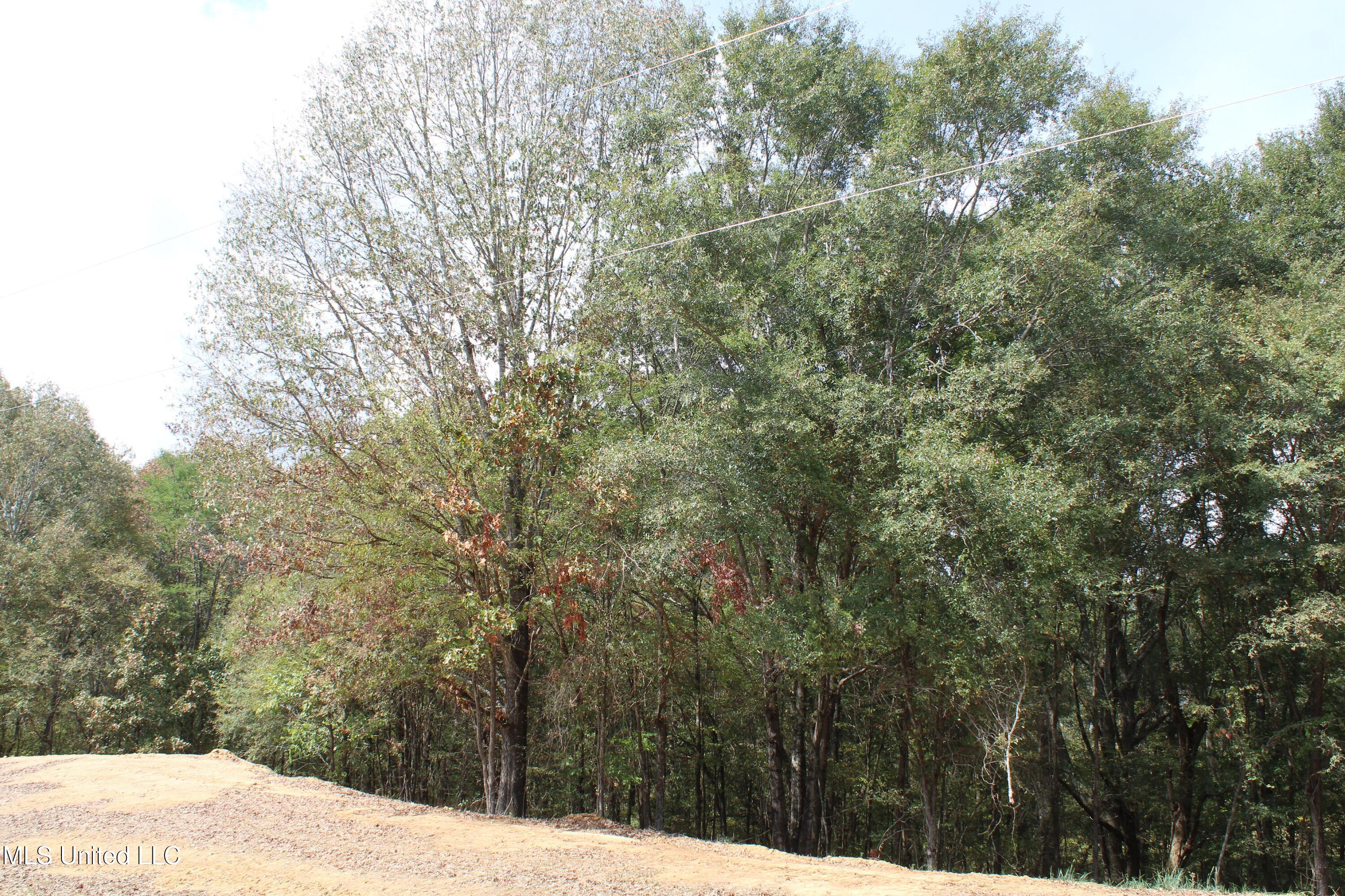 9 Hickory Hollow Road Property Photo 25