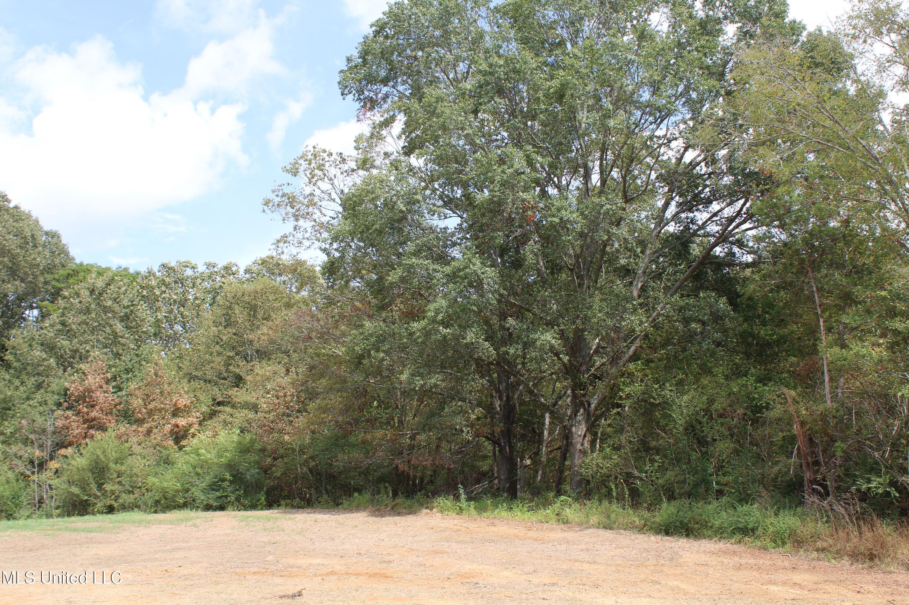 9 Hickory Hollow Road Property Photo 43