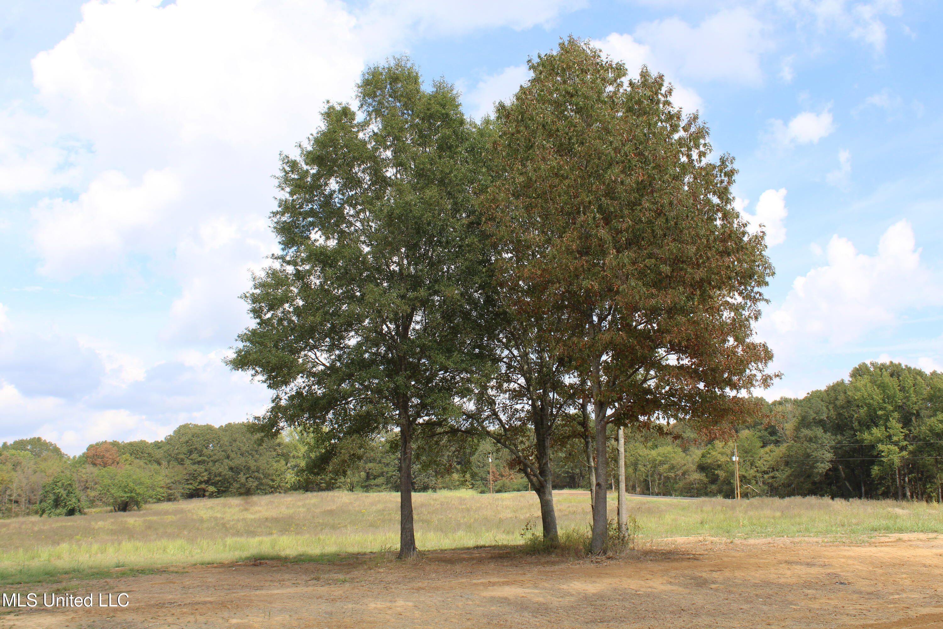 9 Hickory Hollow Road Property Photo 59