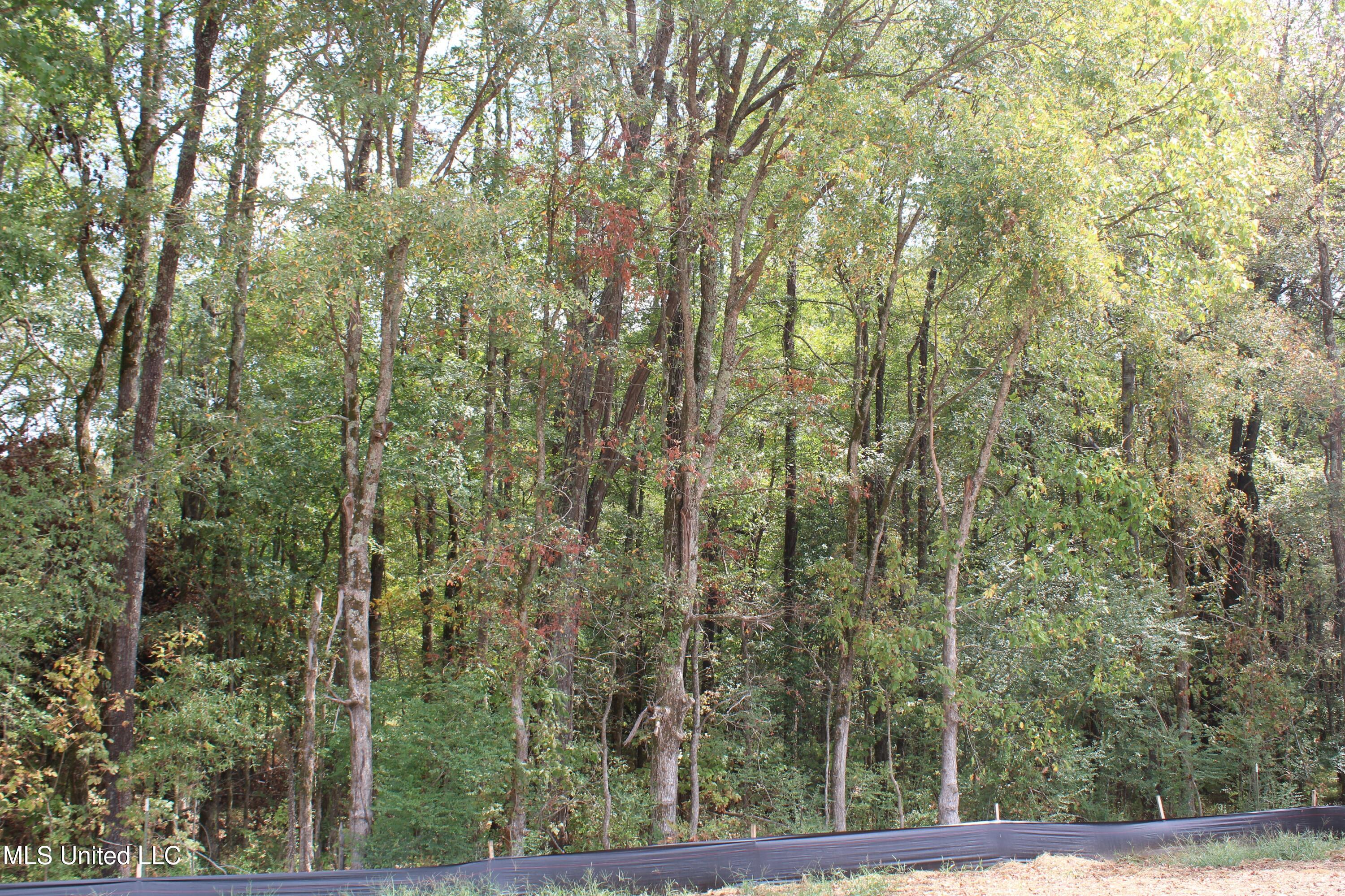 10 Hickory Hollow Road Property Photo 33