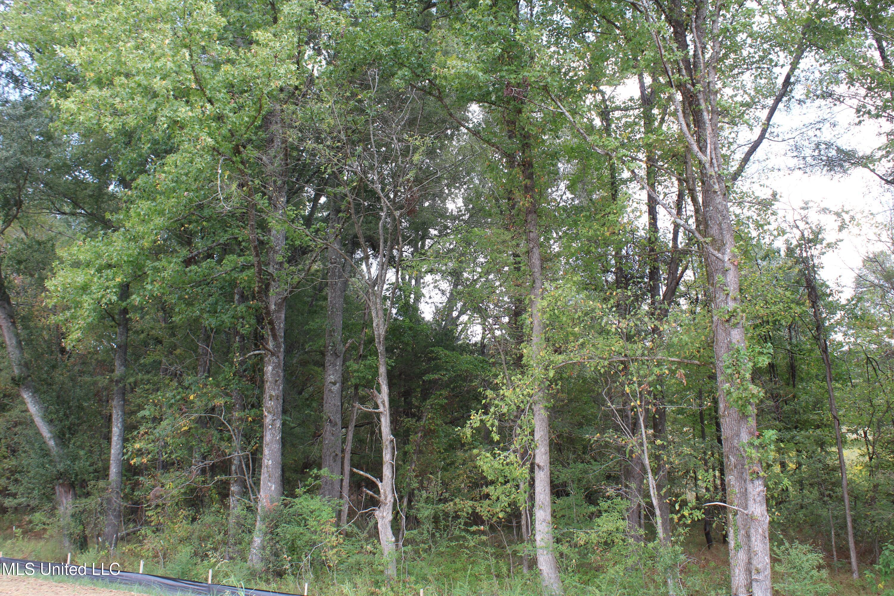 10 Hickory Hollow Road Property Photo 37