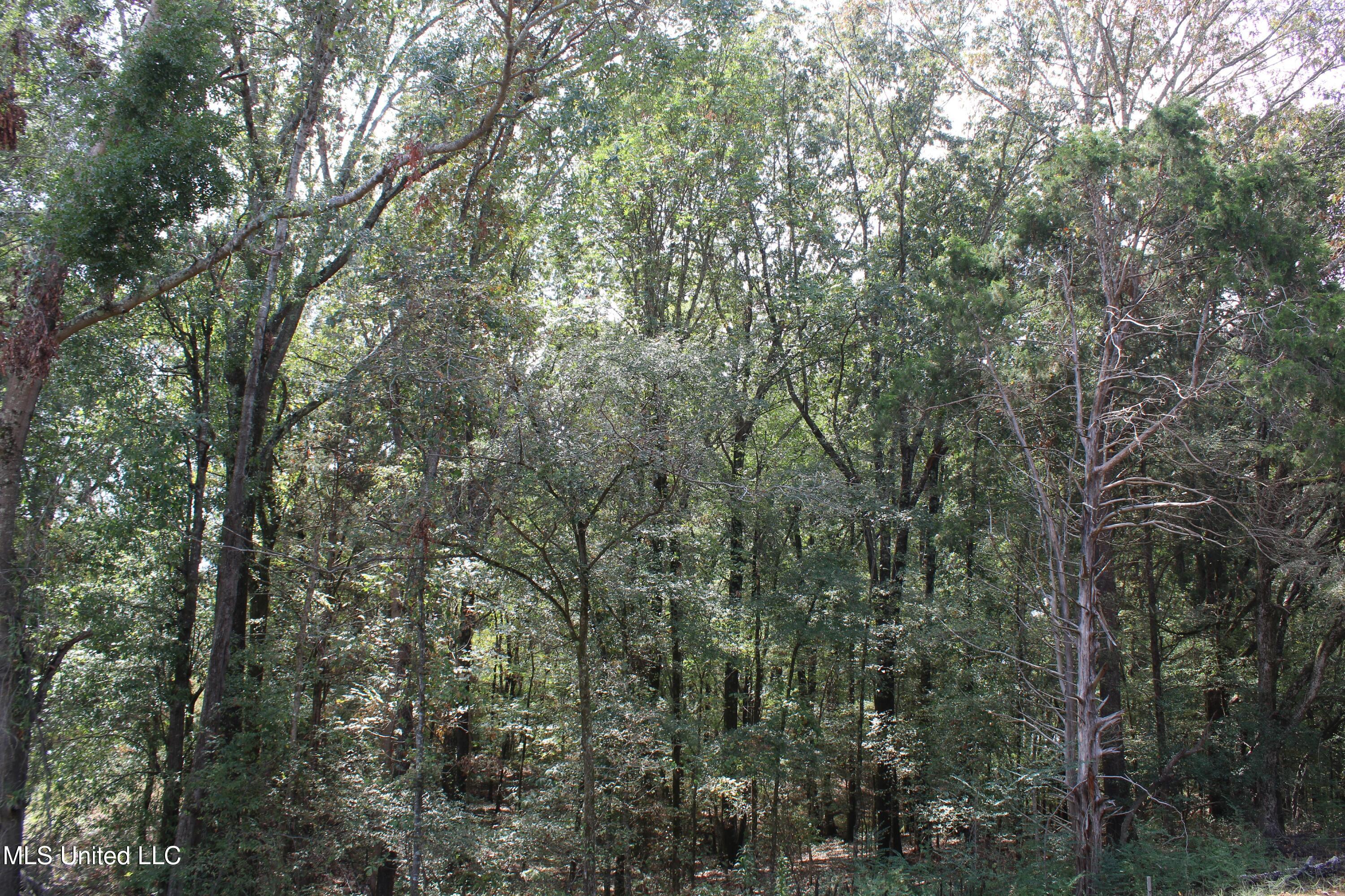 11 Old Barn Cove Property Photo 3