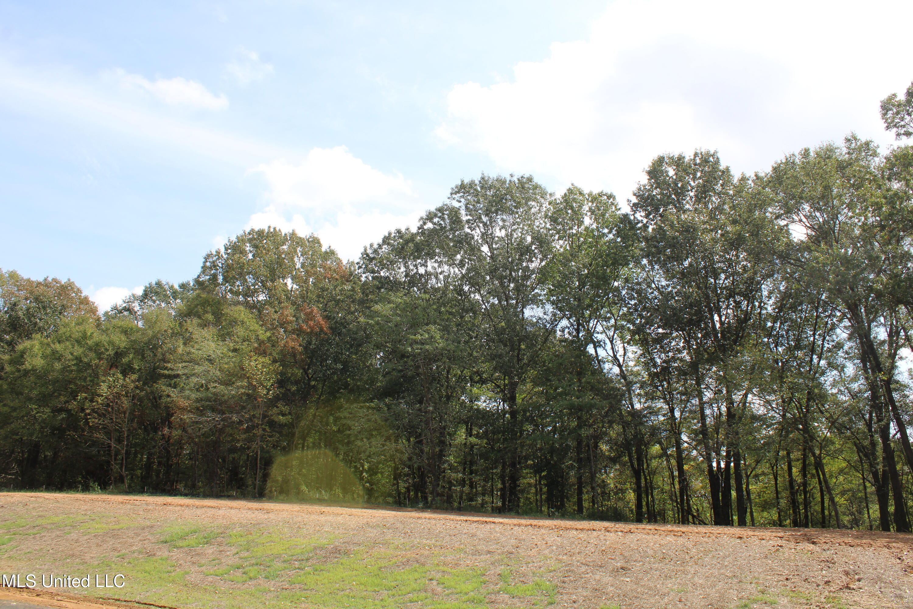 11 Old Barn Cove Property Photo 9