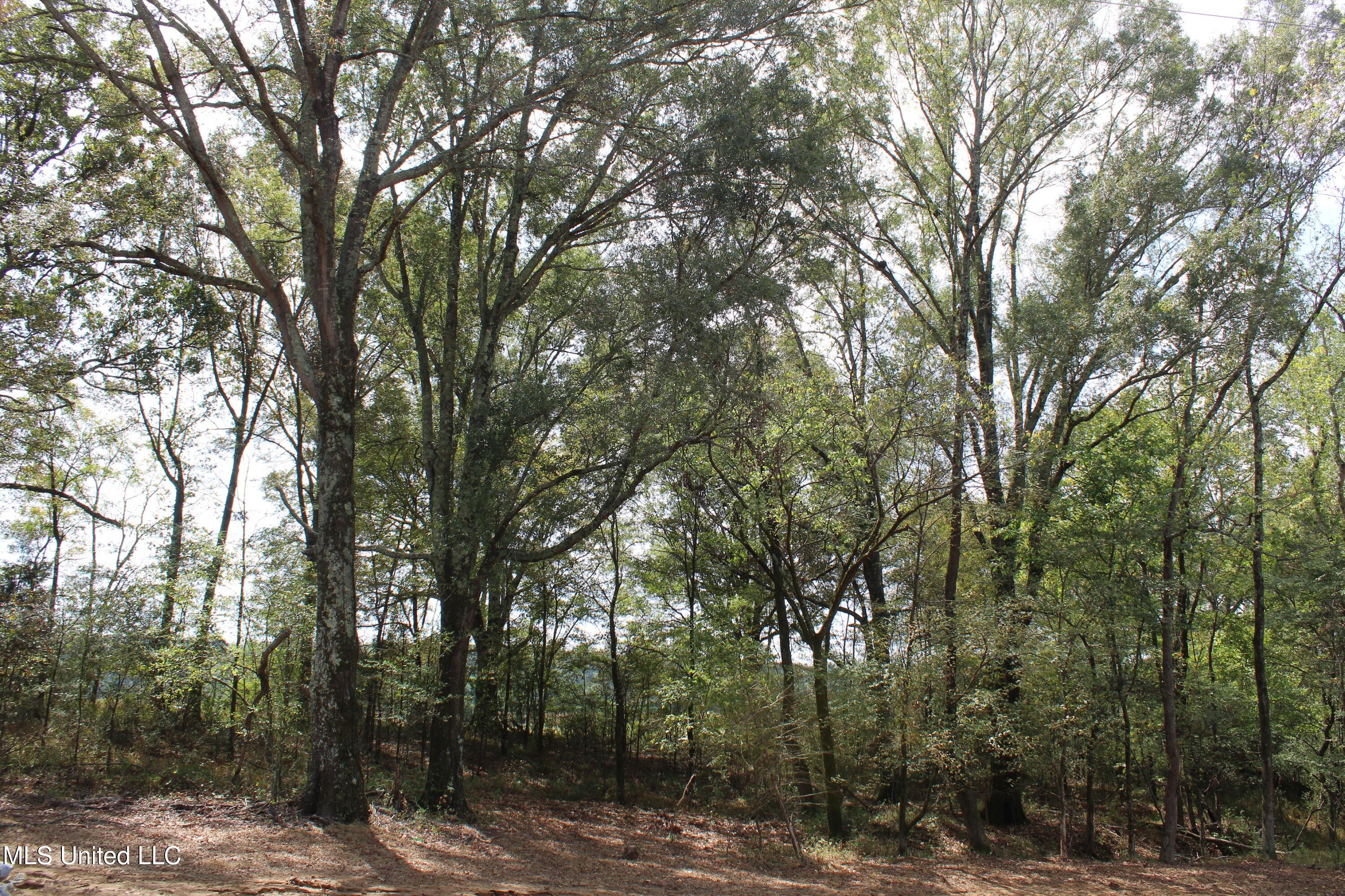 11 Old Barn Cove Property Photo 11