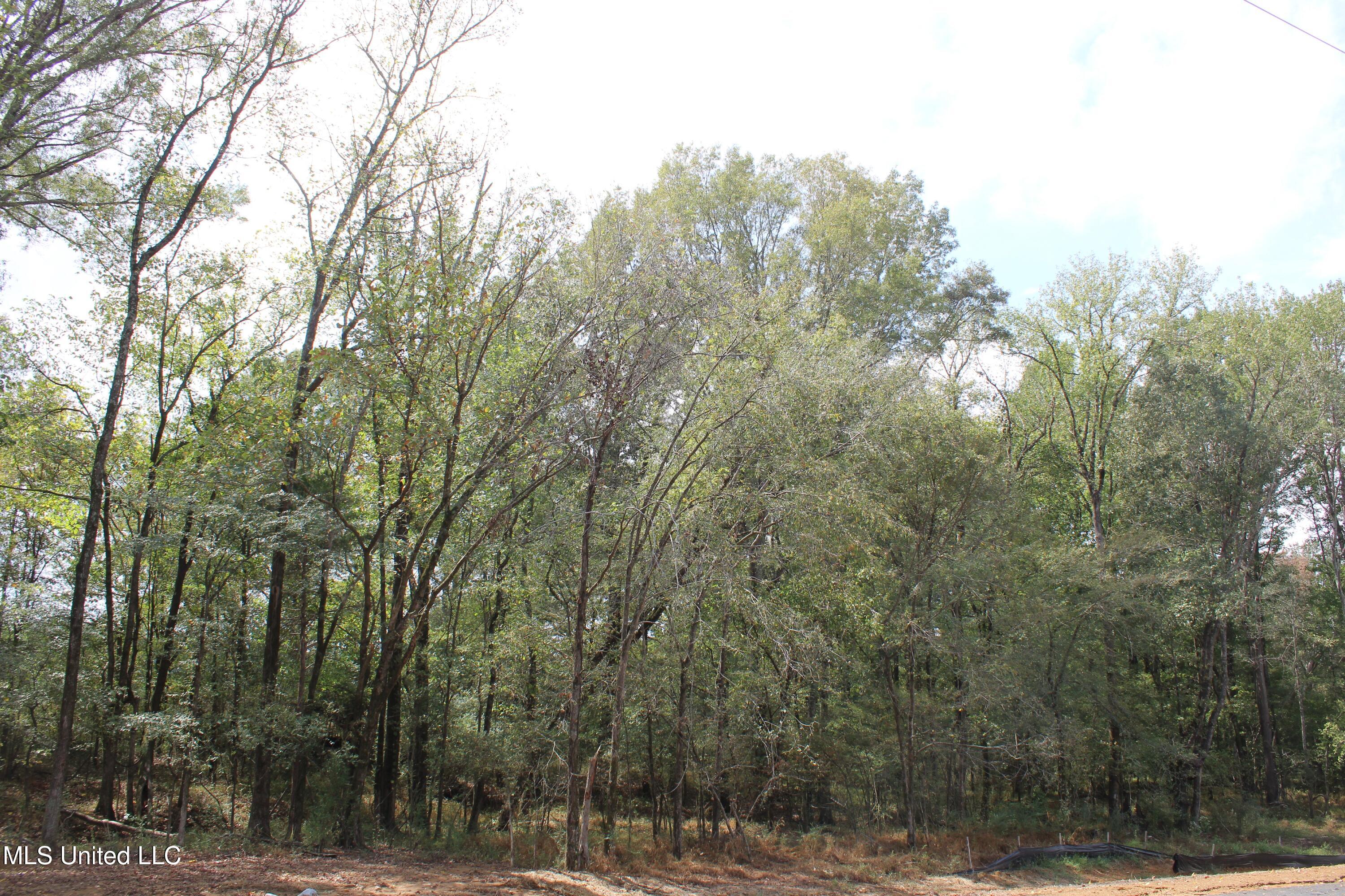 11 Old Barn Cove Property Photo 12