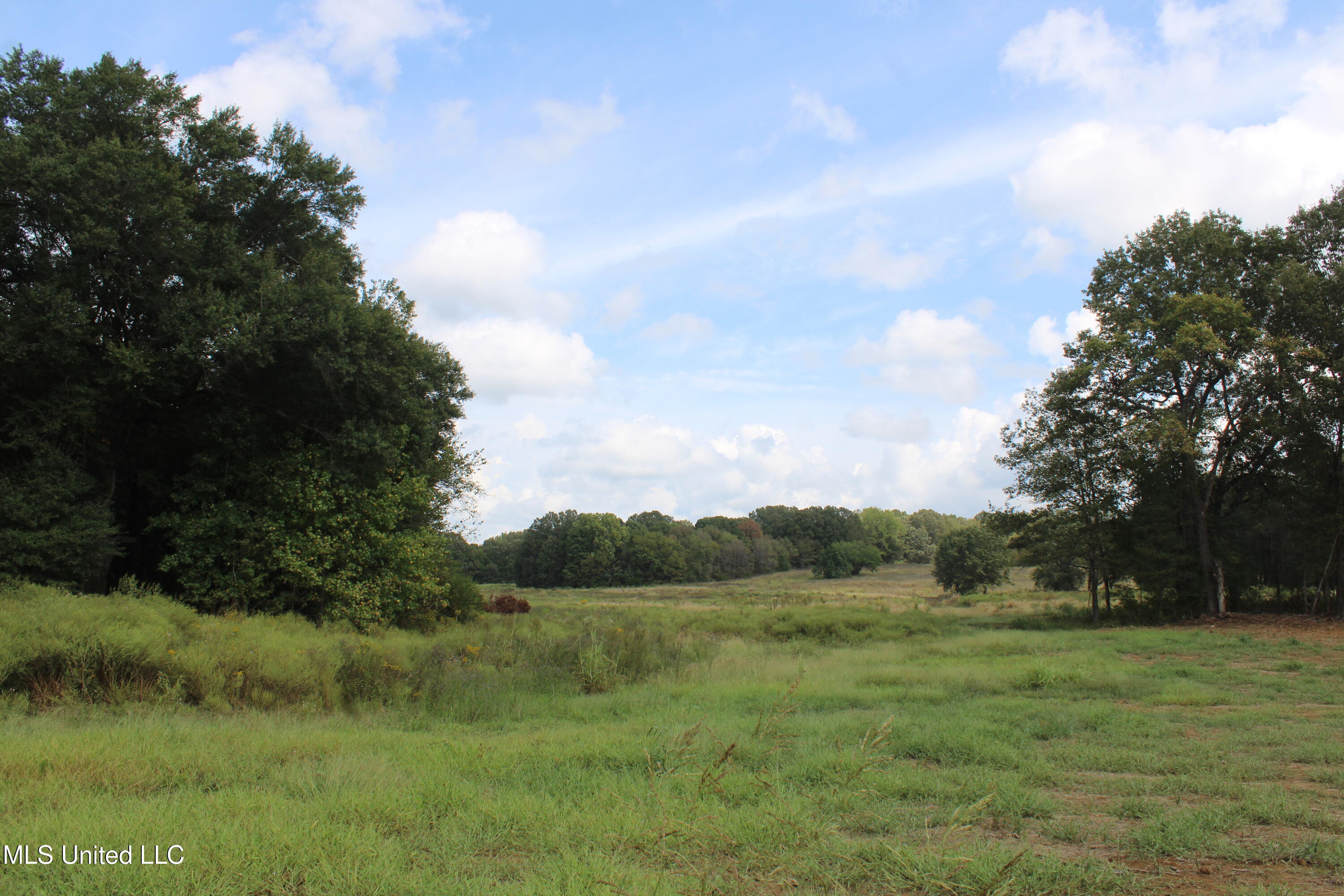 11 Old Barn Cove Property Photo 18