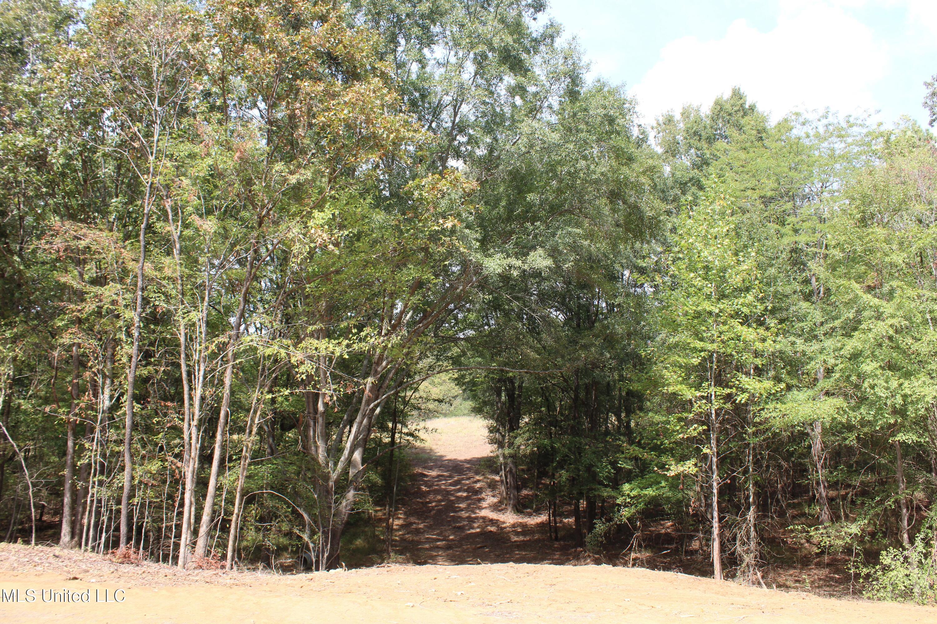 11 Old Barn Cove Property Photo 21