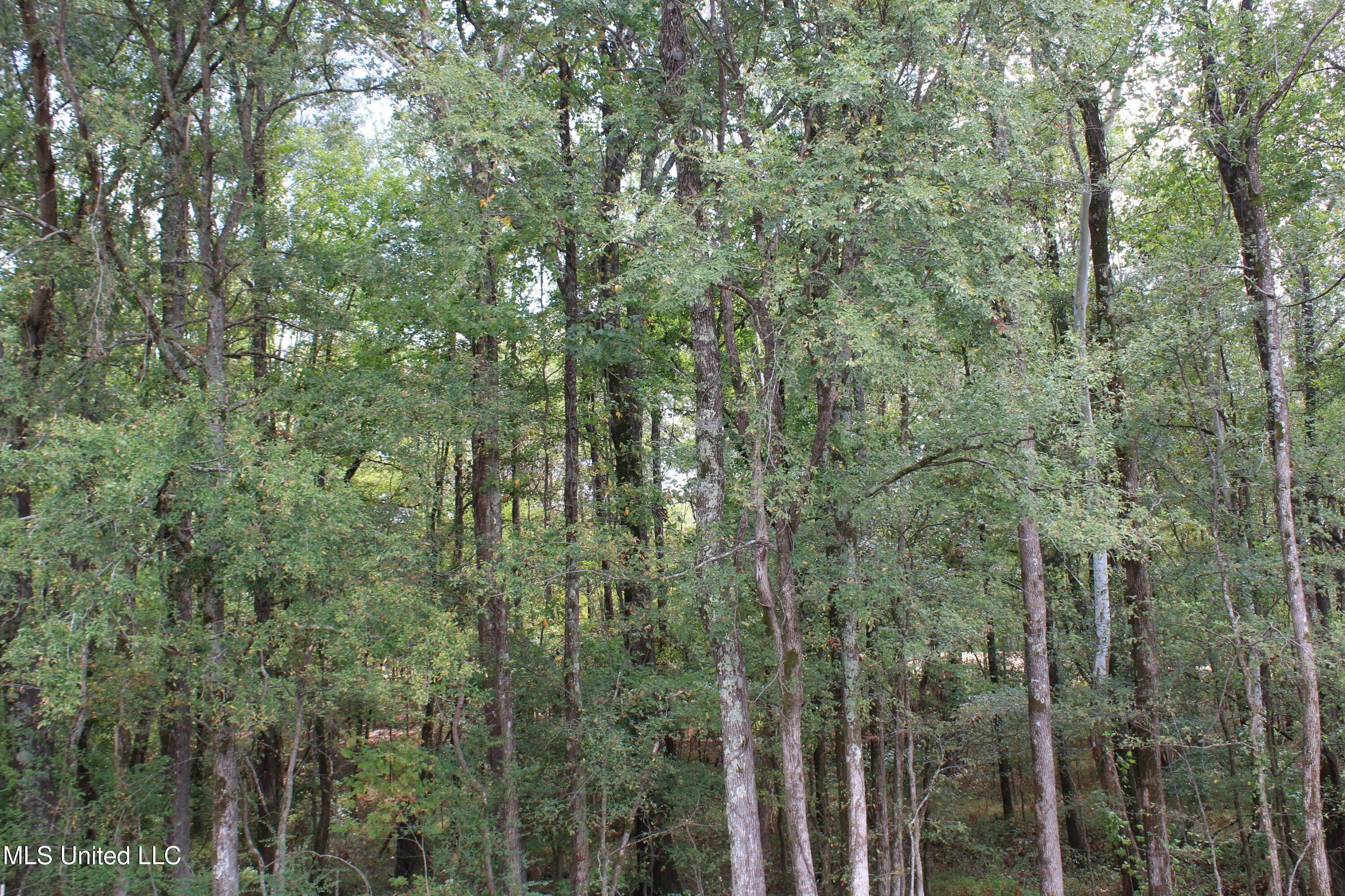11 Old Barn Cove Property Photo 35