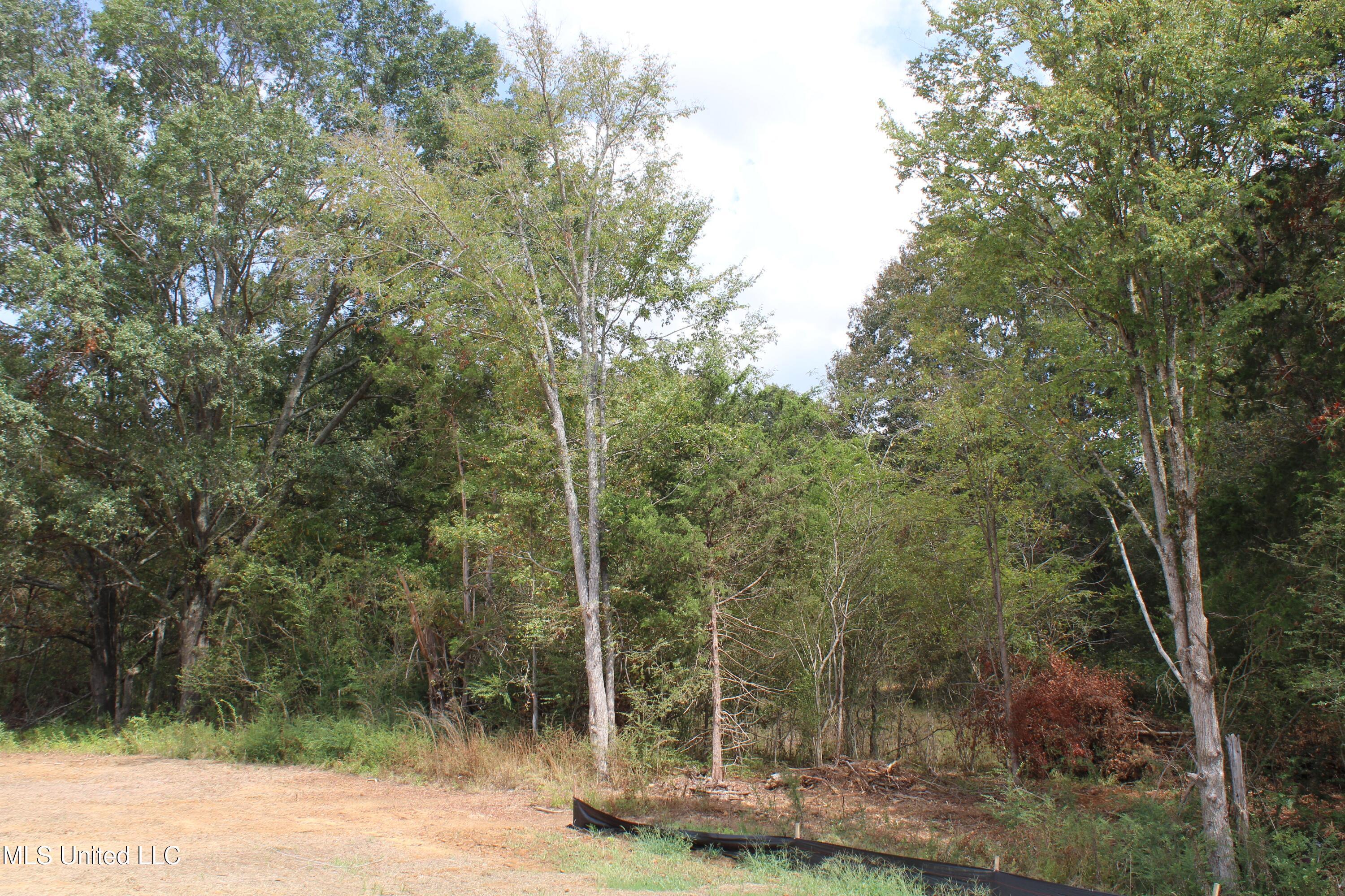 11 Old Barn Cove Property Photo 42