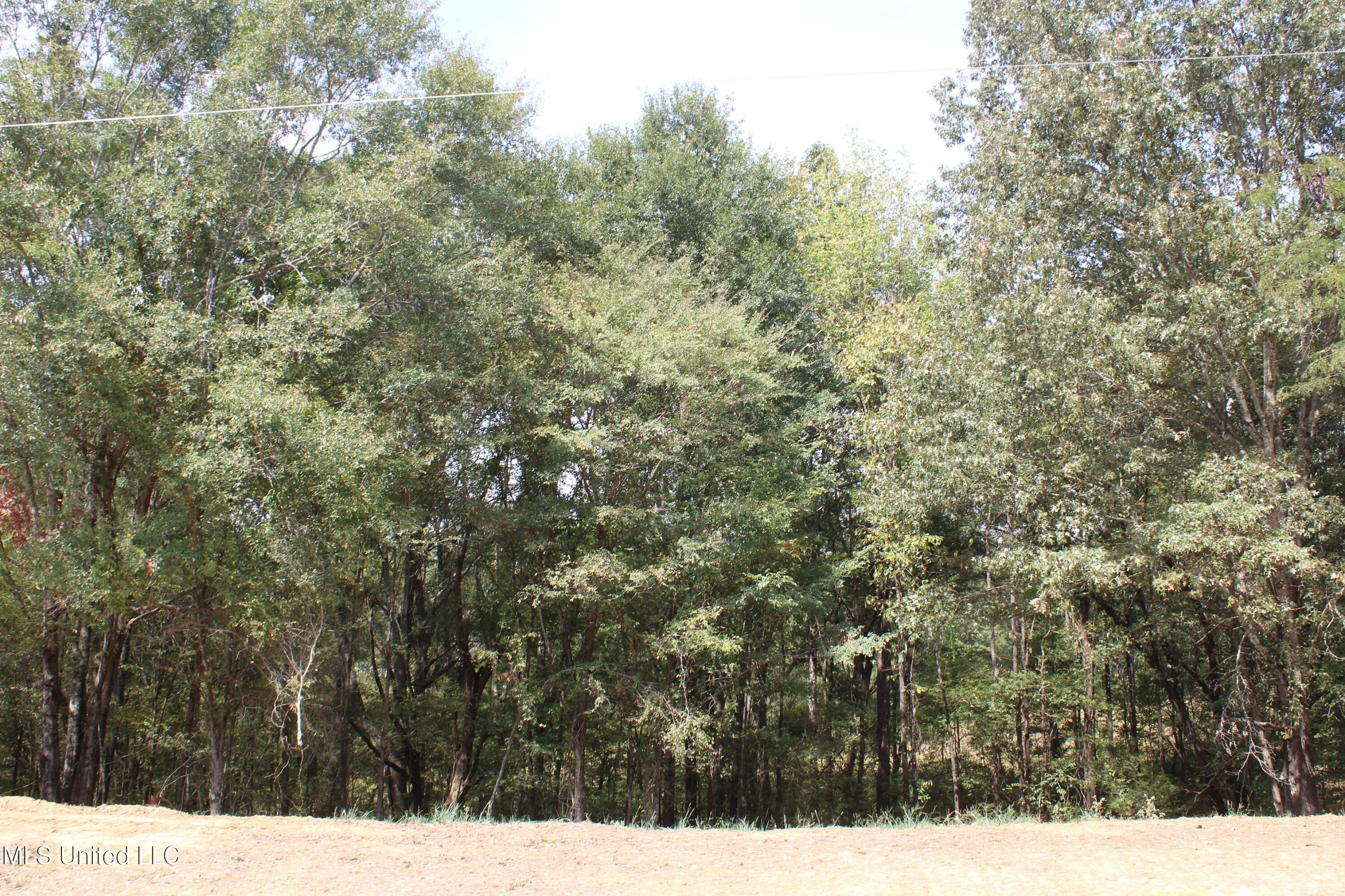 12 Old Barn Cove Property Photo 24
