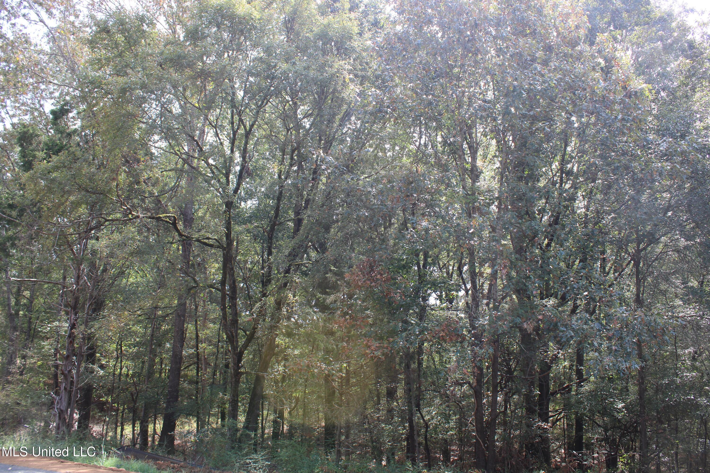 19 Hickory Hollow Road Property Photo 4