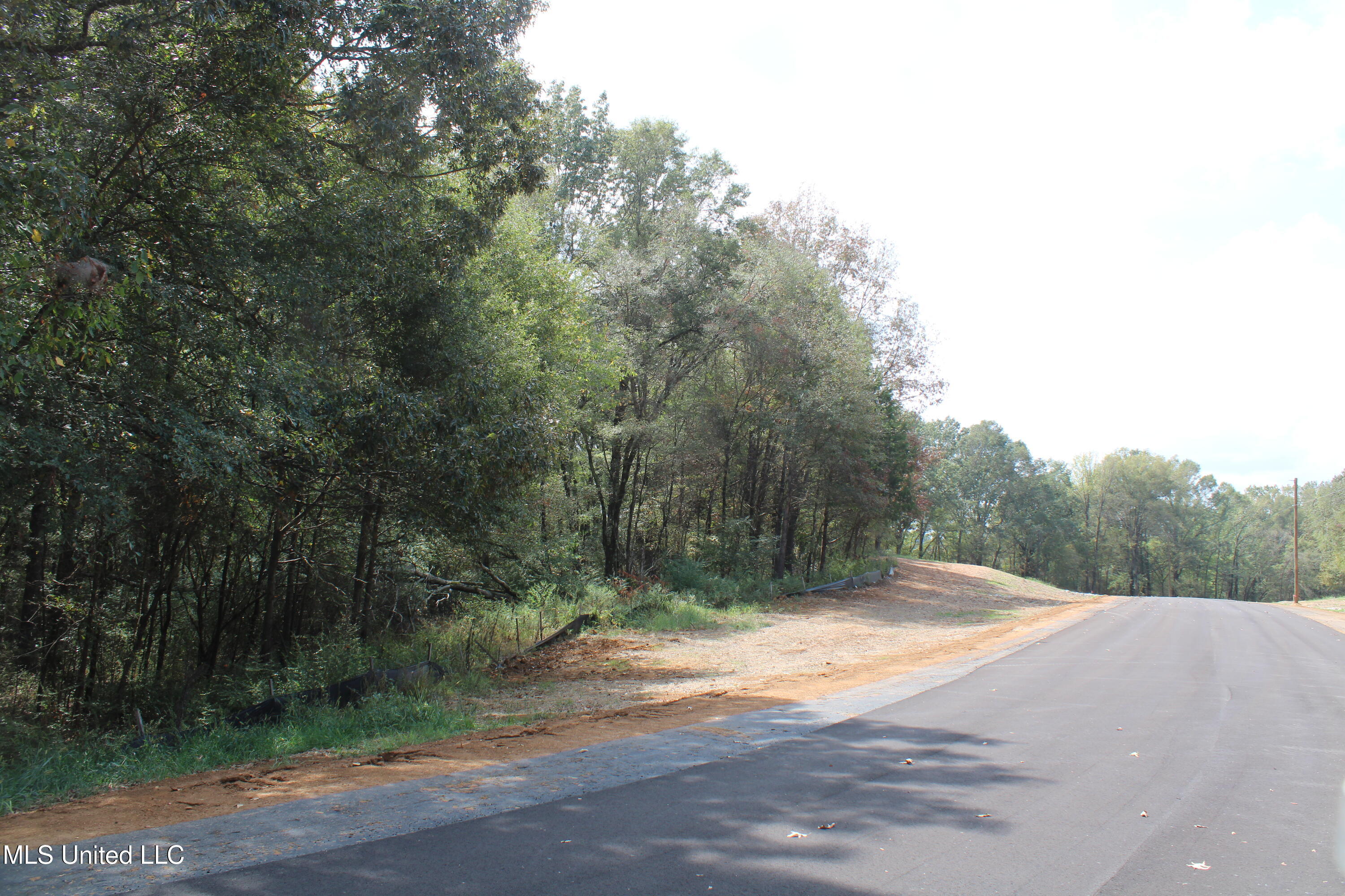 19 Hickory Hollow Road Property Photo 6