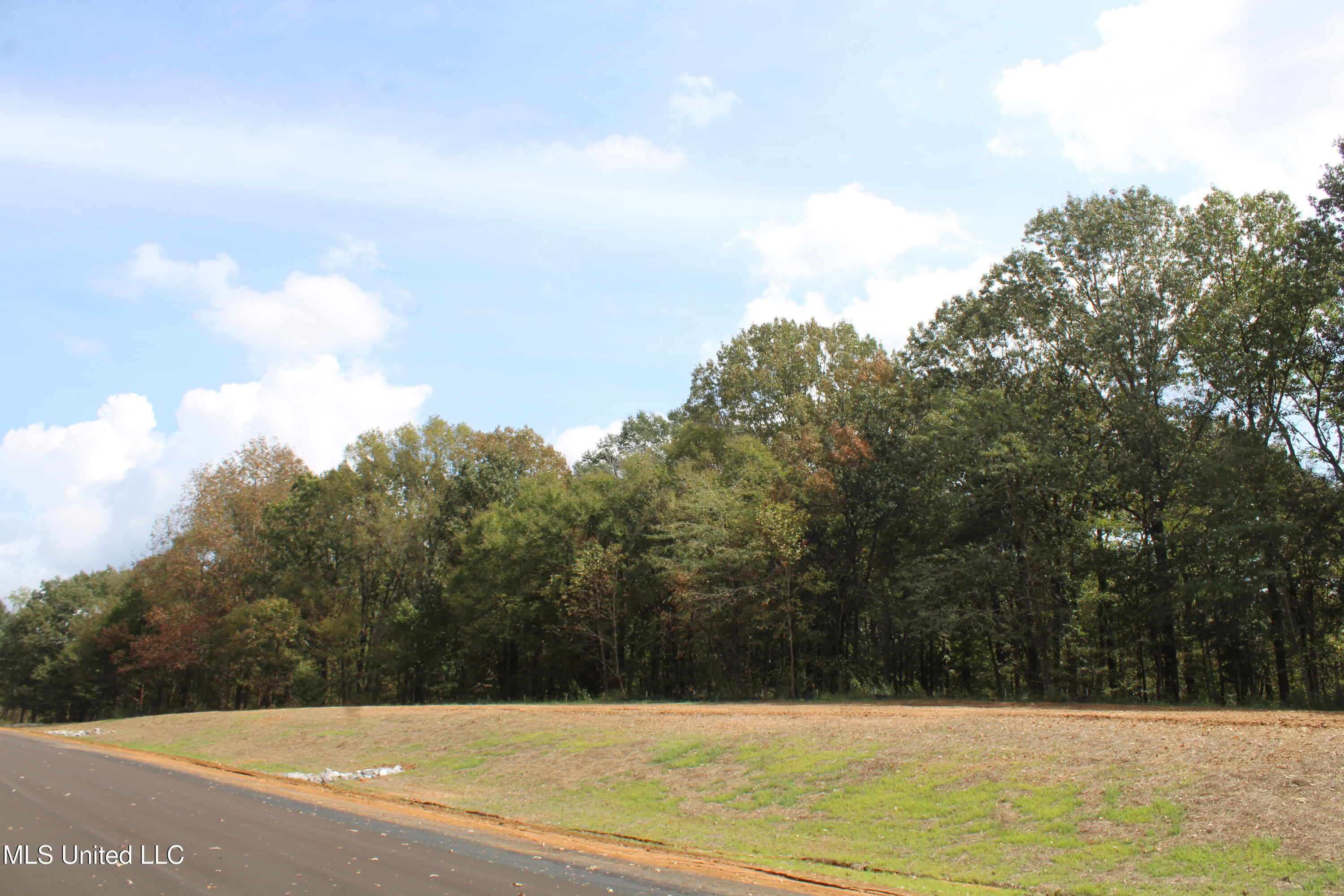 19 Hickory Hollow Road Property Photo 10