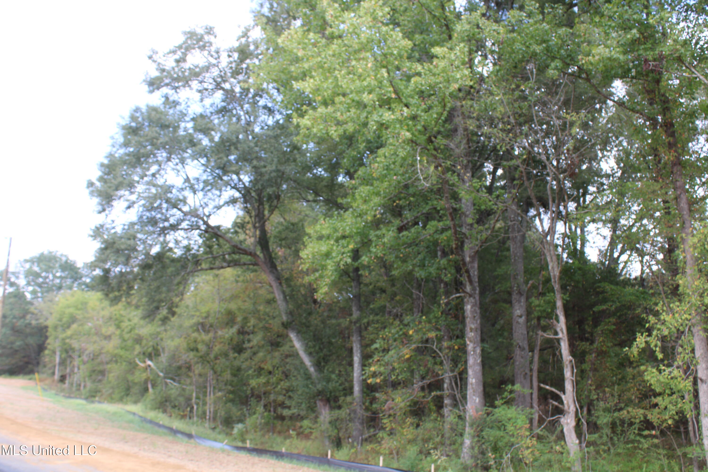 19 Hickory Hollow Road Property Photo 36