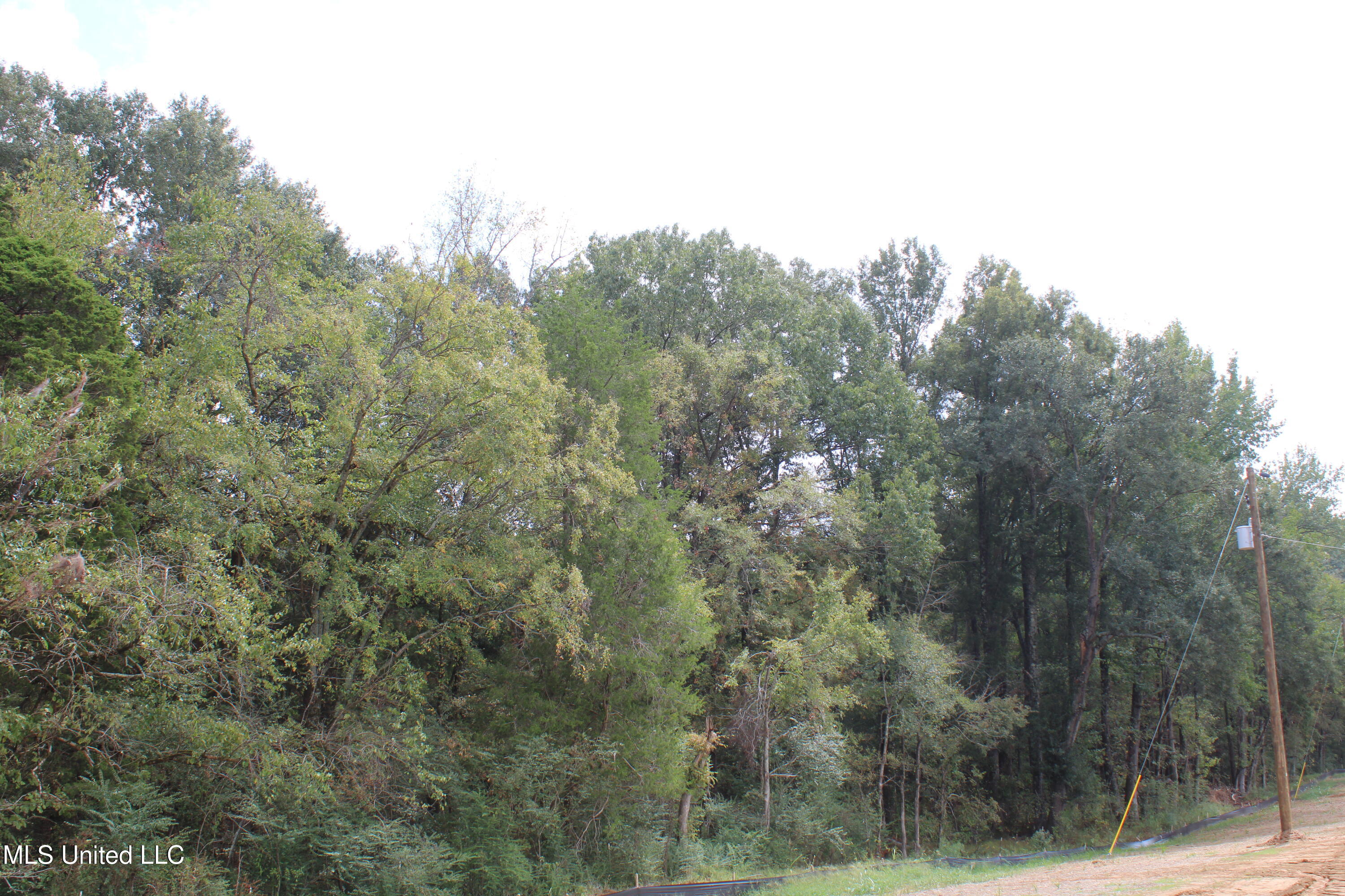 19 Hickory Hollow Road Property Photo 41