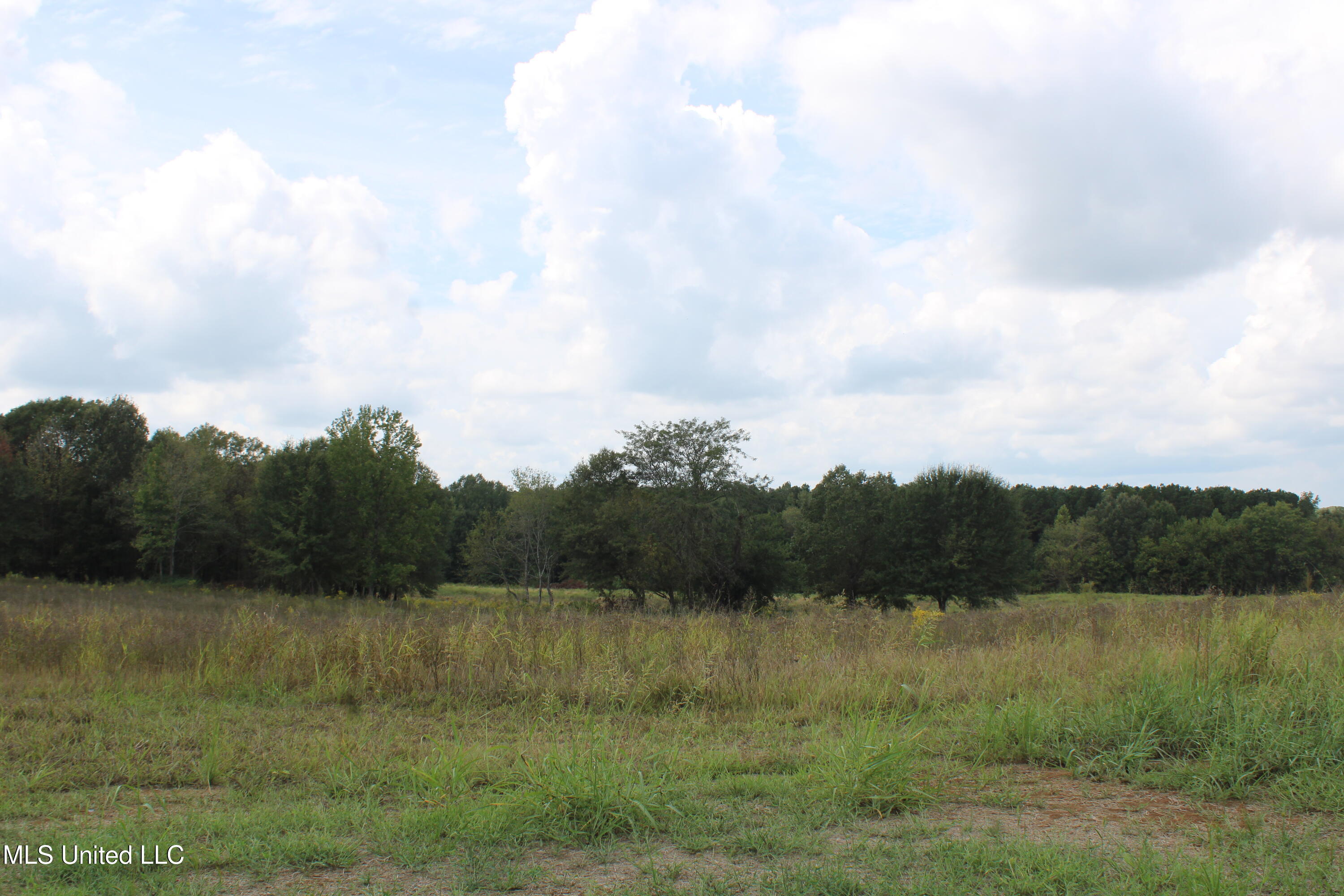 19 Hickory Hollow Road Property Photo 51