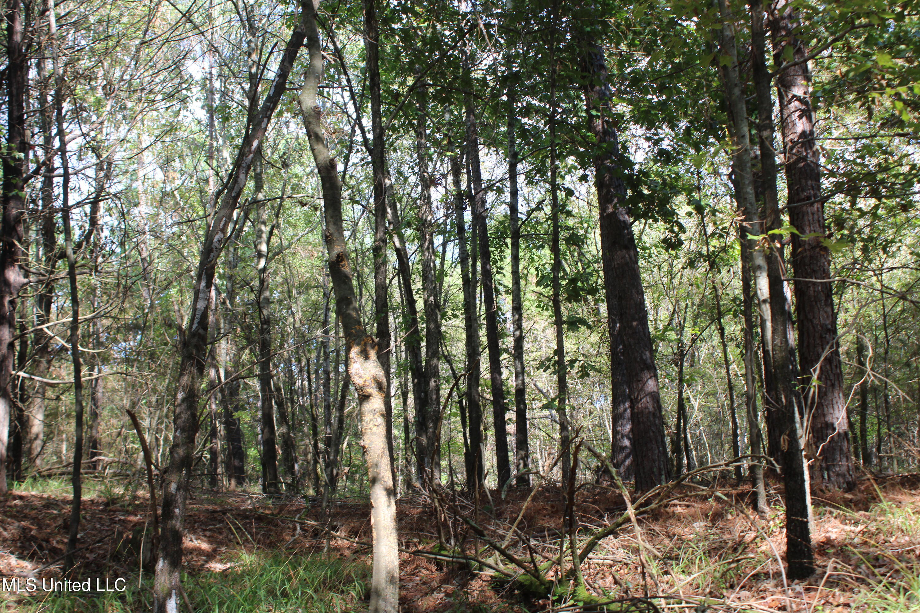 1 Byhalia Road Property Photo 4