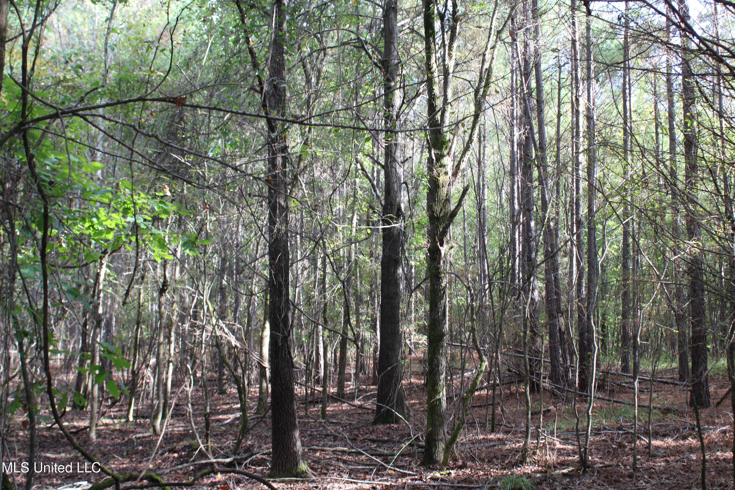 1 Byhalia Road Property Photo 9