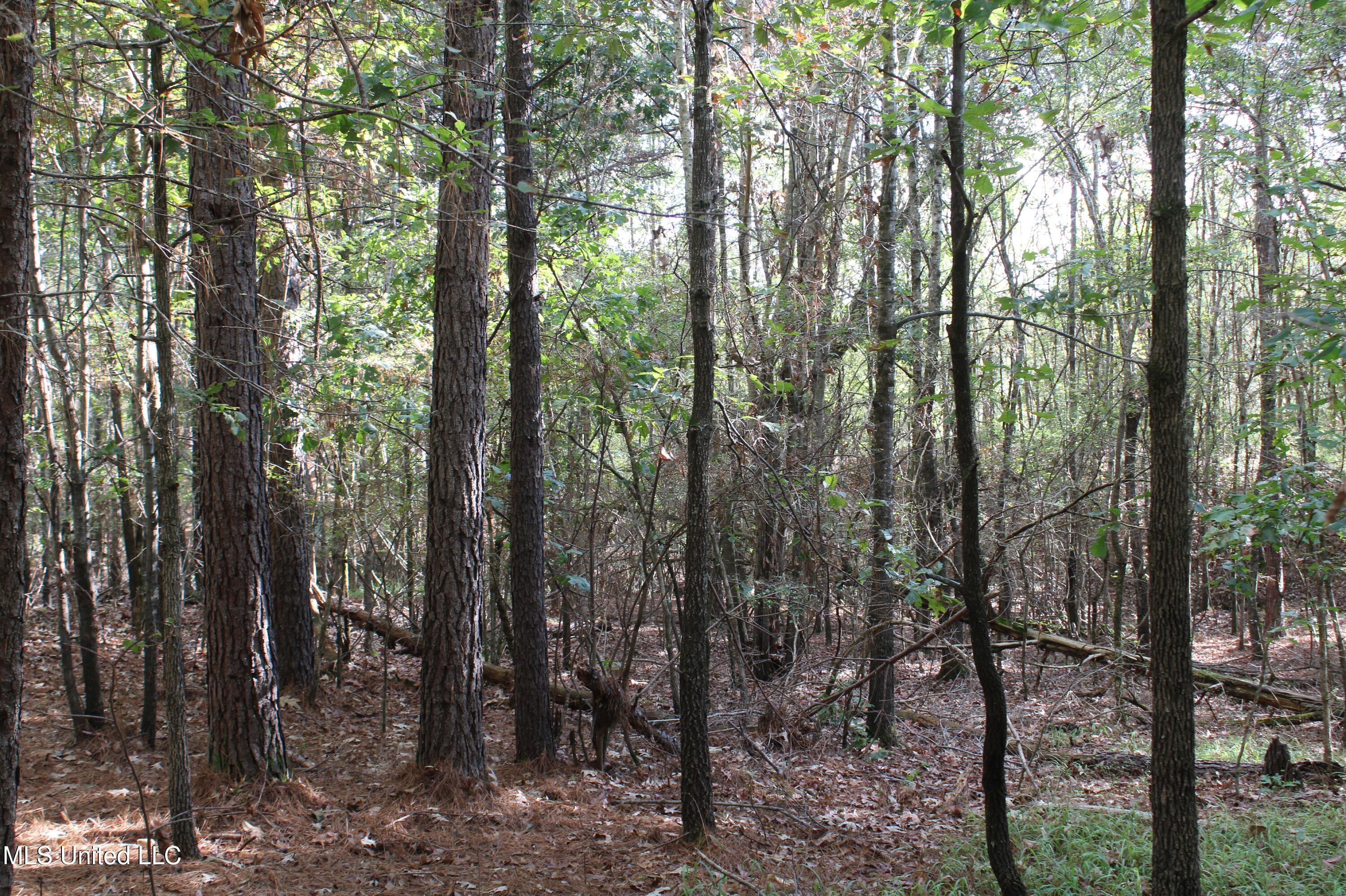 1 Byhalia Road Property Photo 11