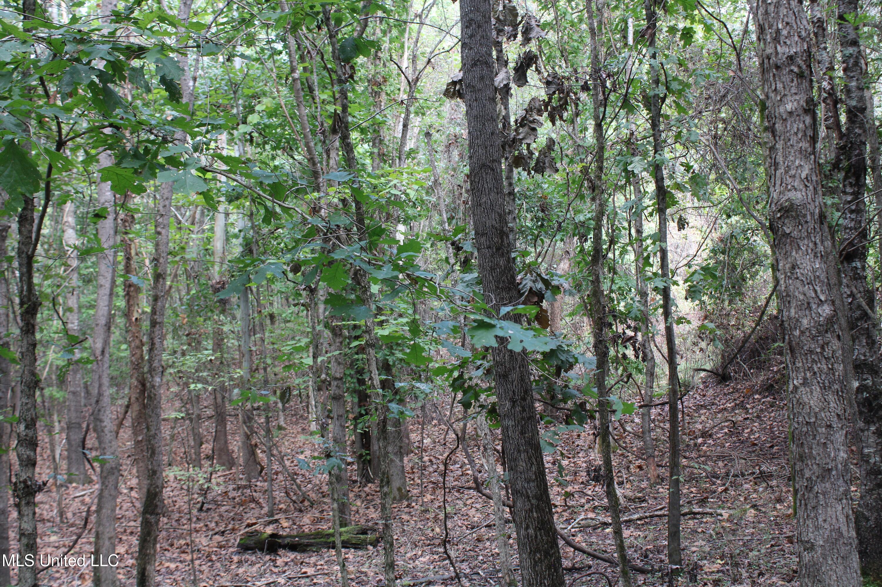 1 Byhalia Road Property Photo 13