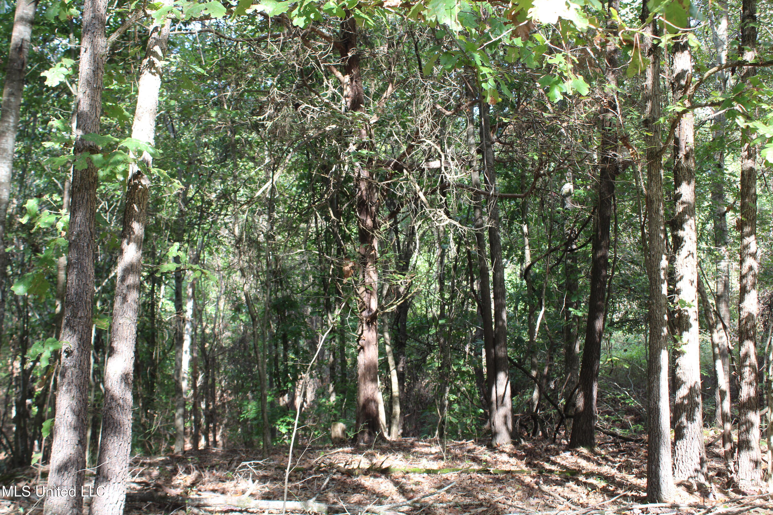 2 Byhalia Road Property Photo 8