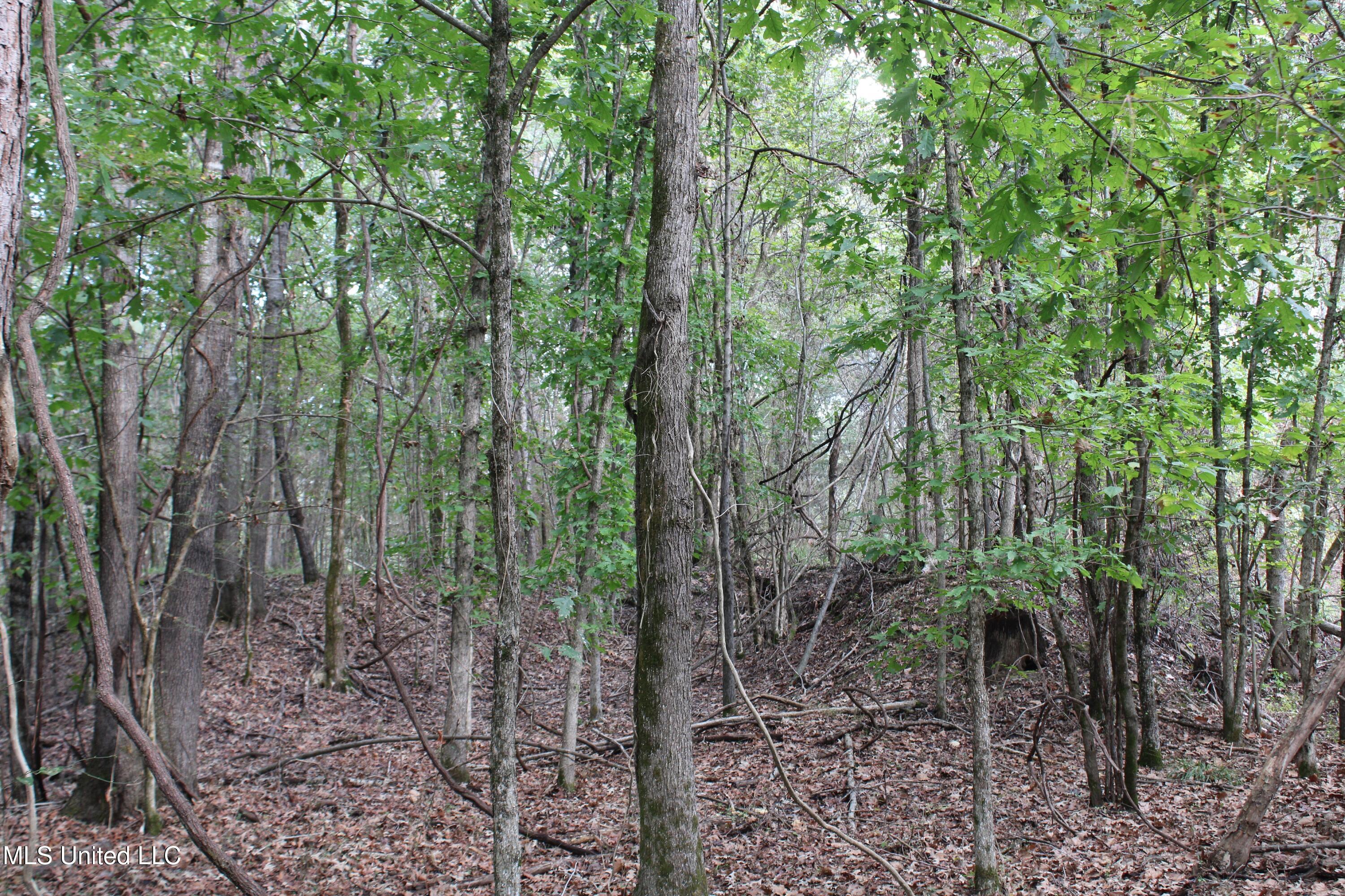 2 Byhalia Road Property Photo 13