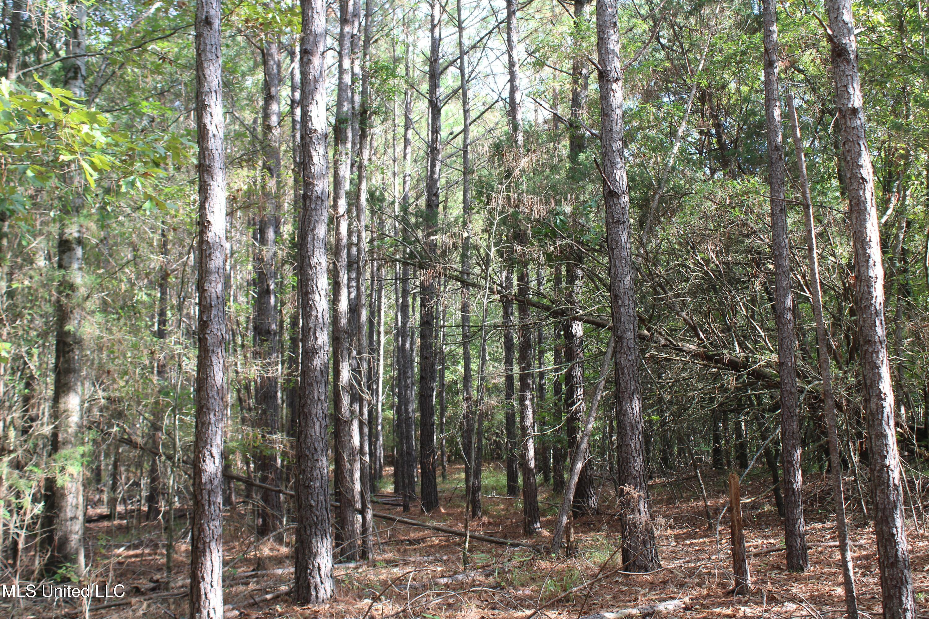 3 Byhalia Road Property Photo 9