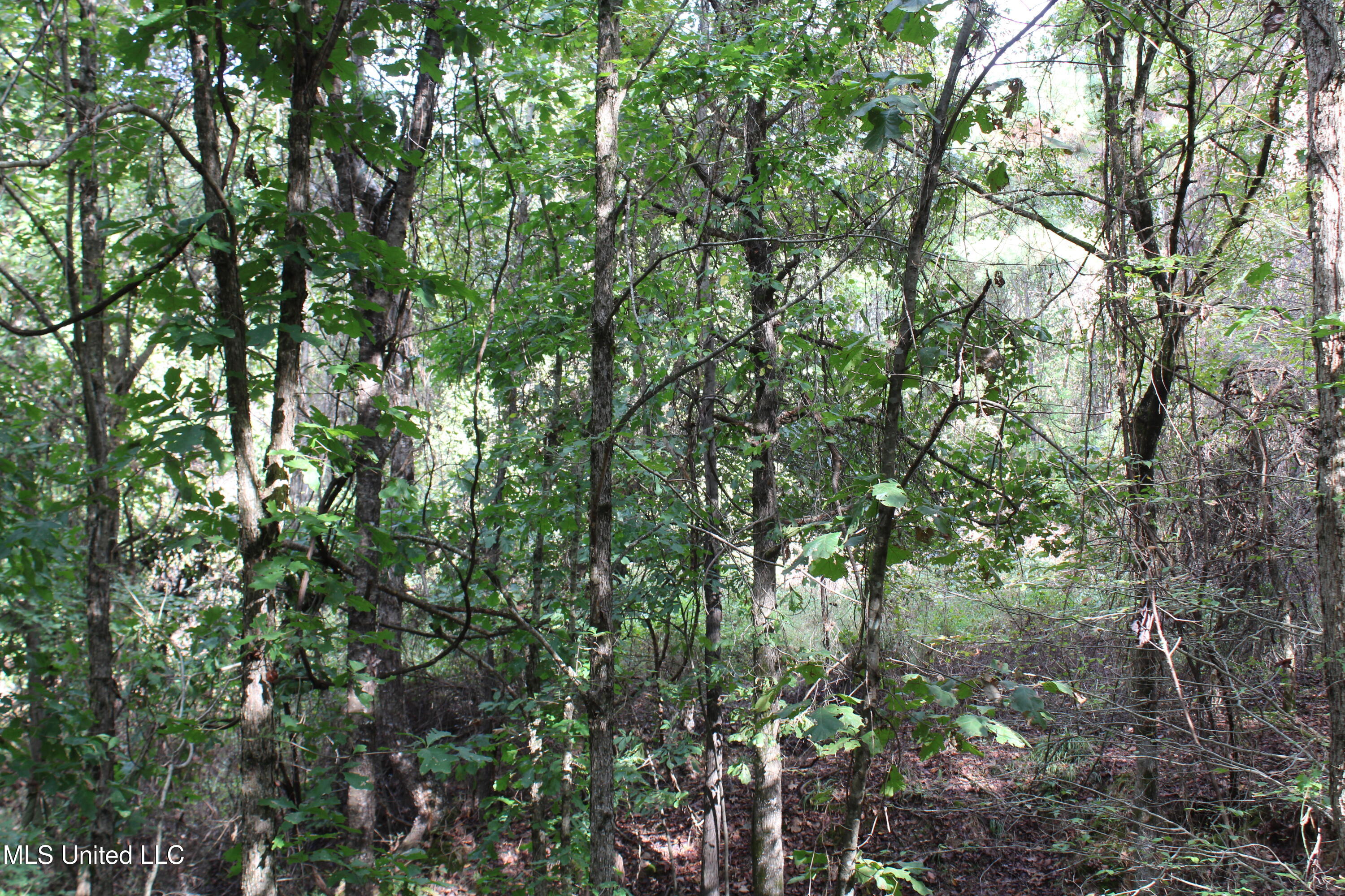 4 Byhalia Road Property Photo 10