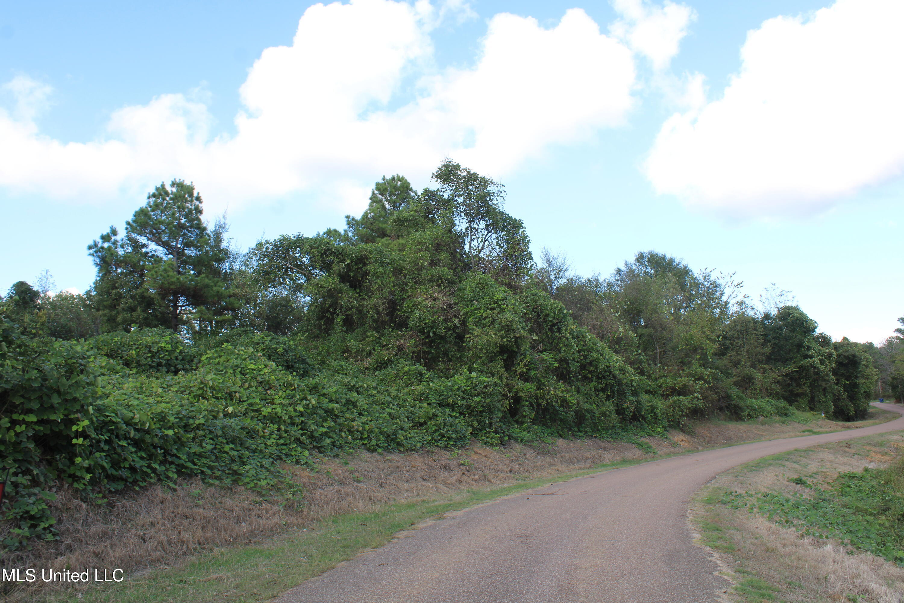 4 Byhalia Road Property Photo 15