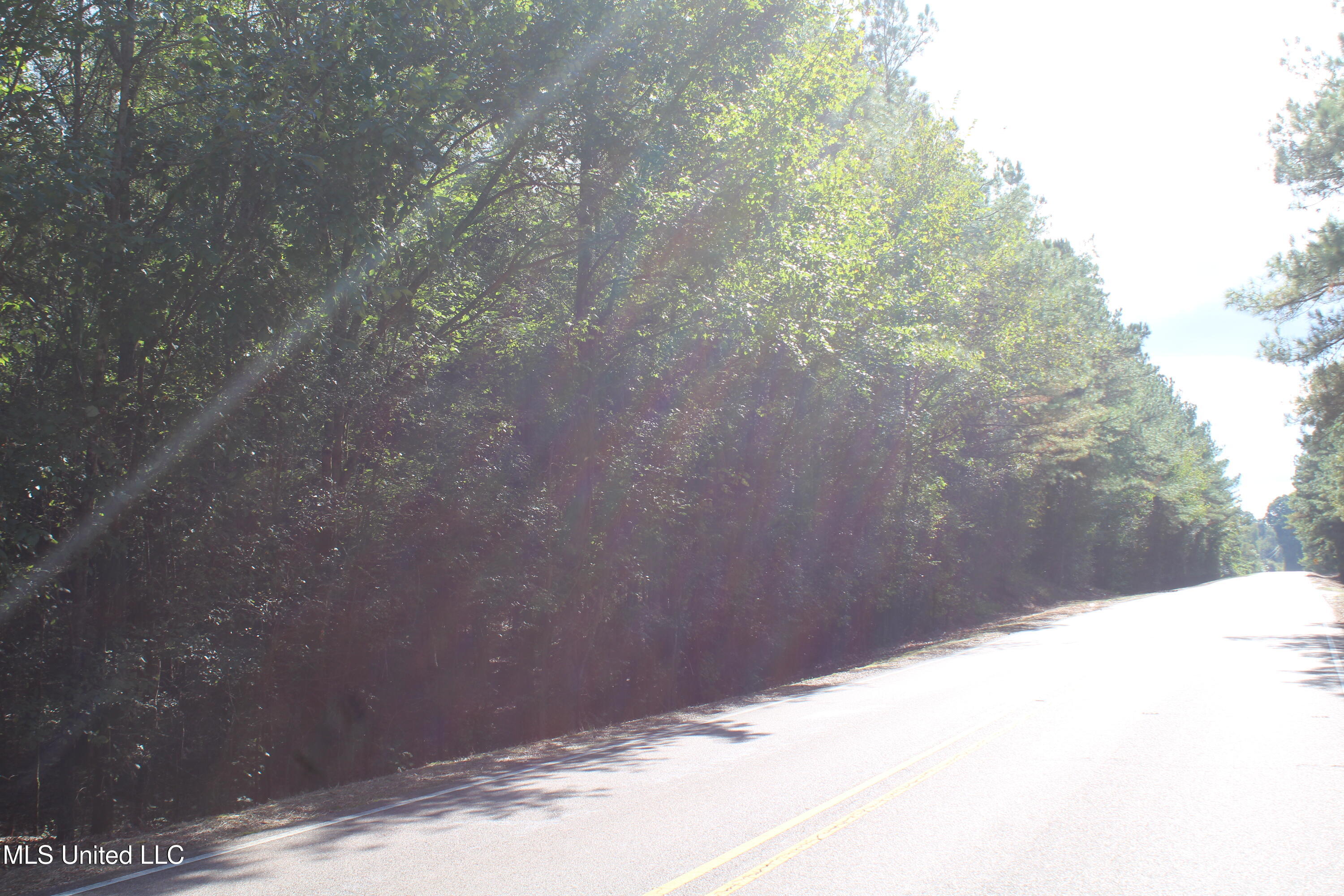 6 Old Byhalia Road Property Photo 2