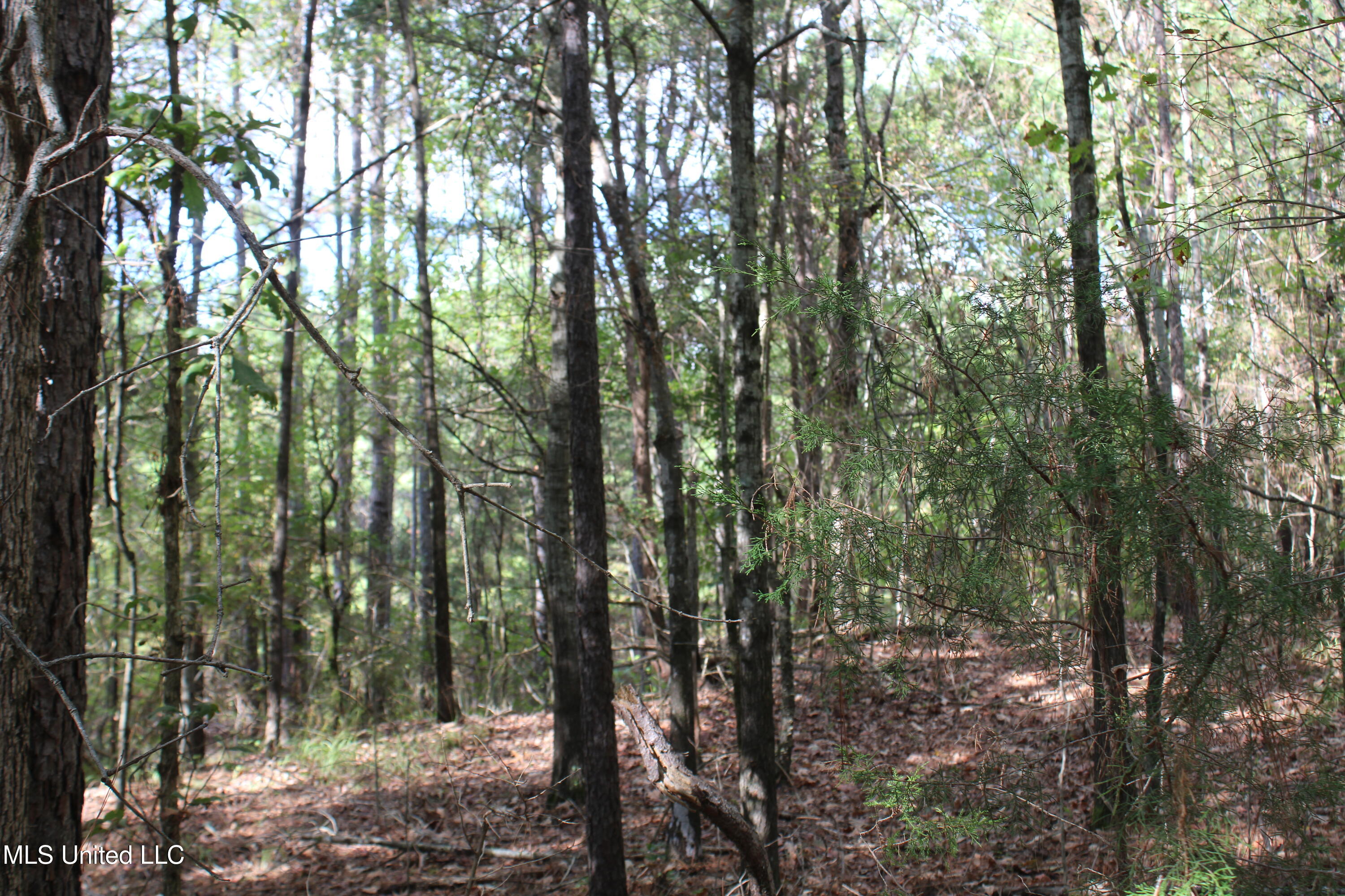 6 Old Byhalia Road Property Photo 6