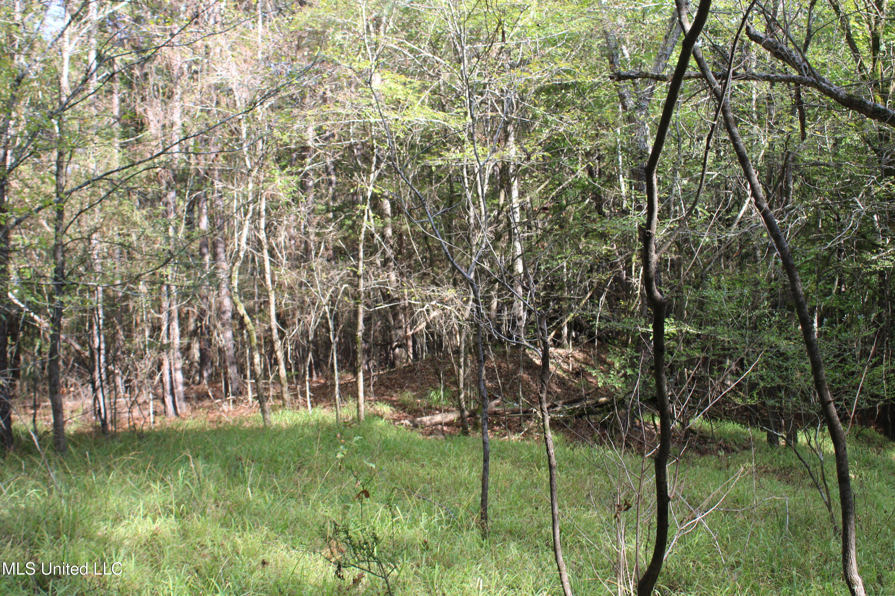 6 Old Byhalia Road Property Photo 7