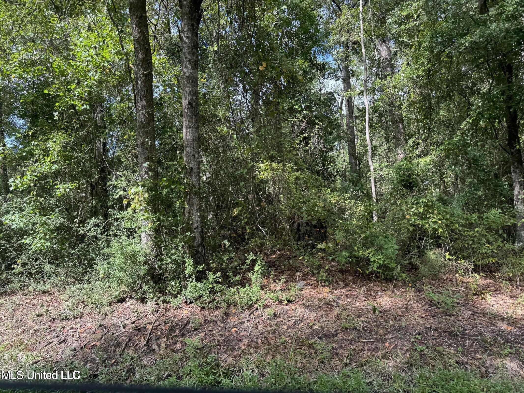 Highway 604 & 1st Avenue Property Photo 8