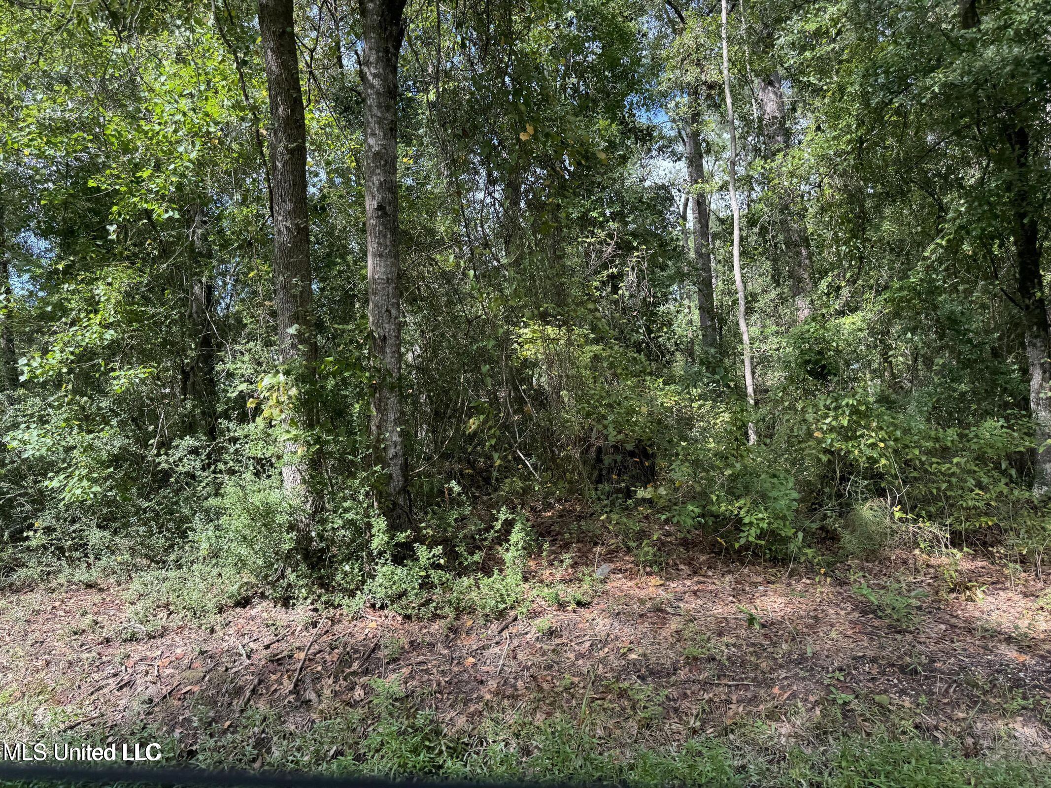 Highway 604 & 1st Avenue Property Photo 9