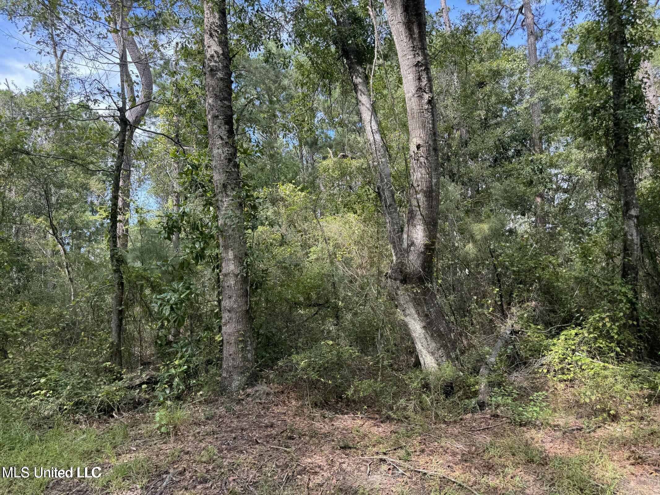 Highway 604 & 1st Avenue Property Photo 4