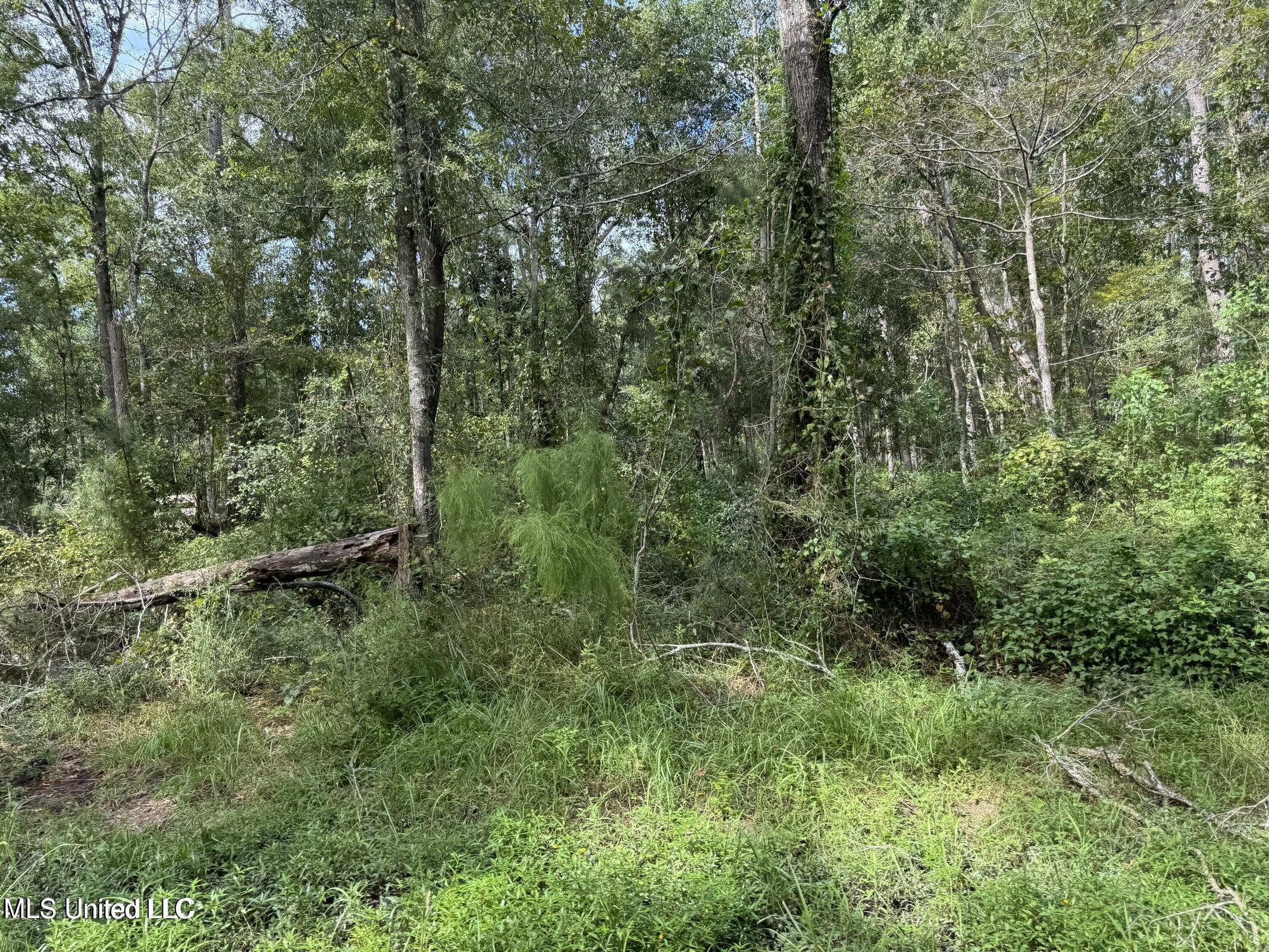 Highway 604 & 1st Avenue Property Photo 5