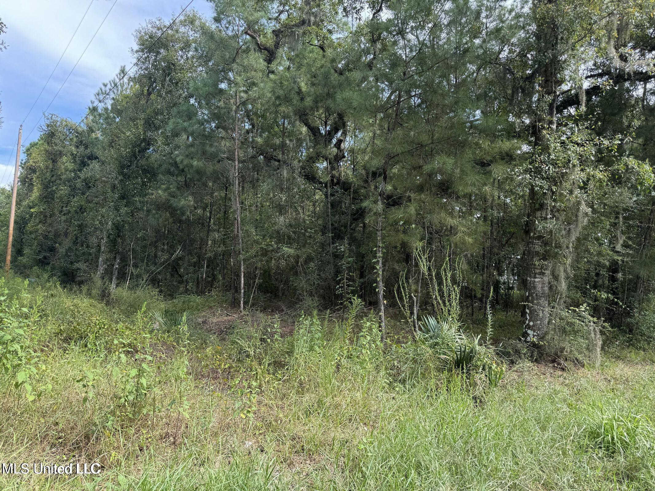 Highway 604 & 1st Avenue Property Photo 14