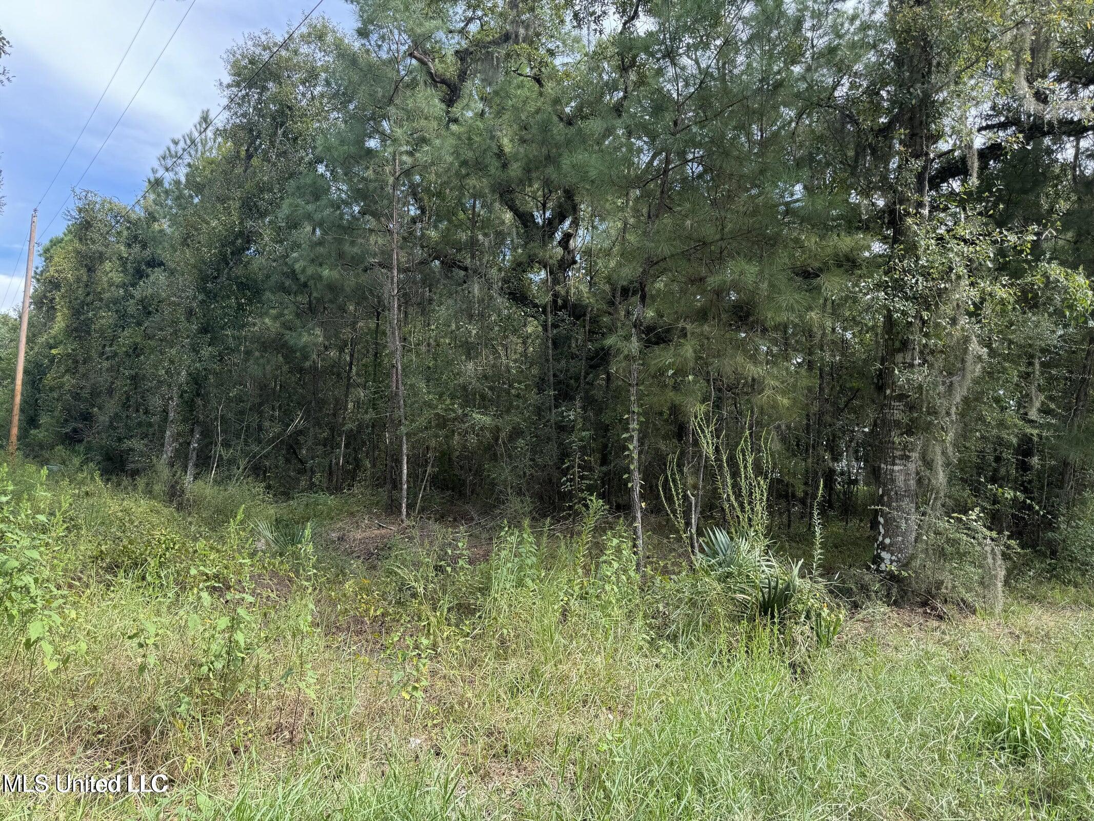 Highway 604 & 1st Avenue Property Photo 15