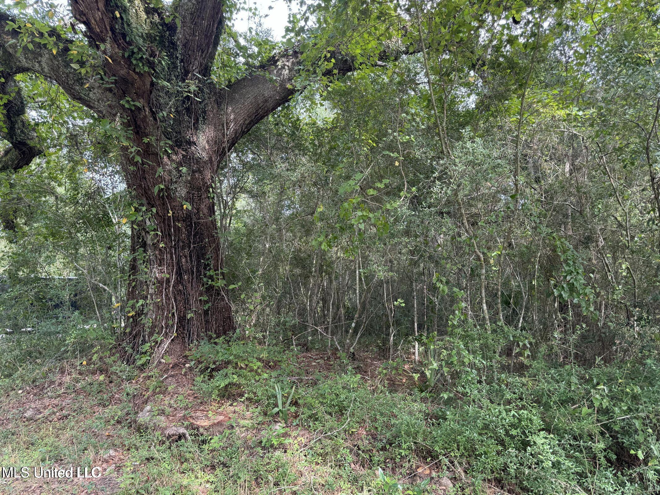 Highway 604 & 1st Avenue Property Photo 18