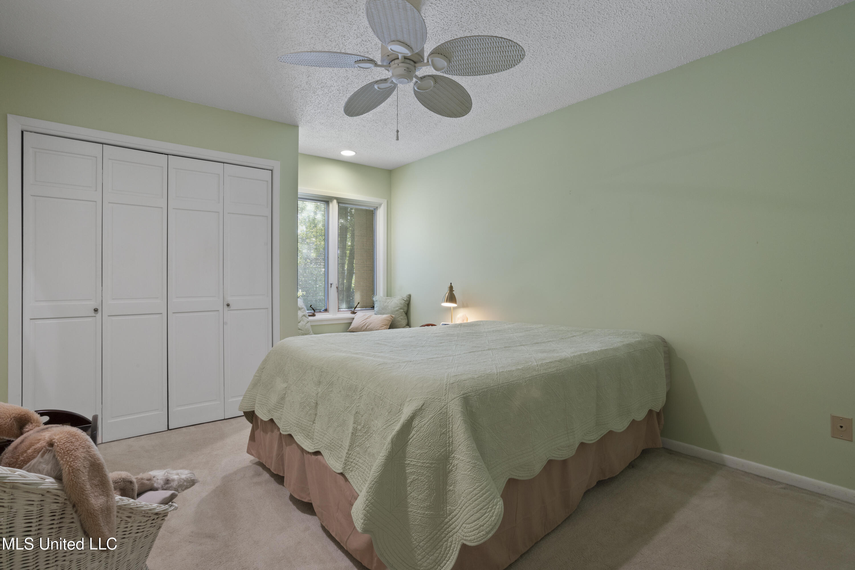 6 Pine Haven Street Property Photo 38