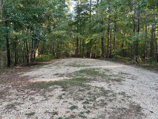 106 Drive 1902 Property Photo 6