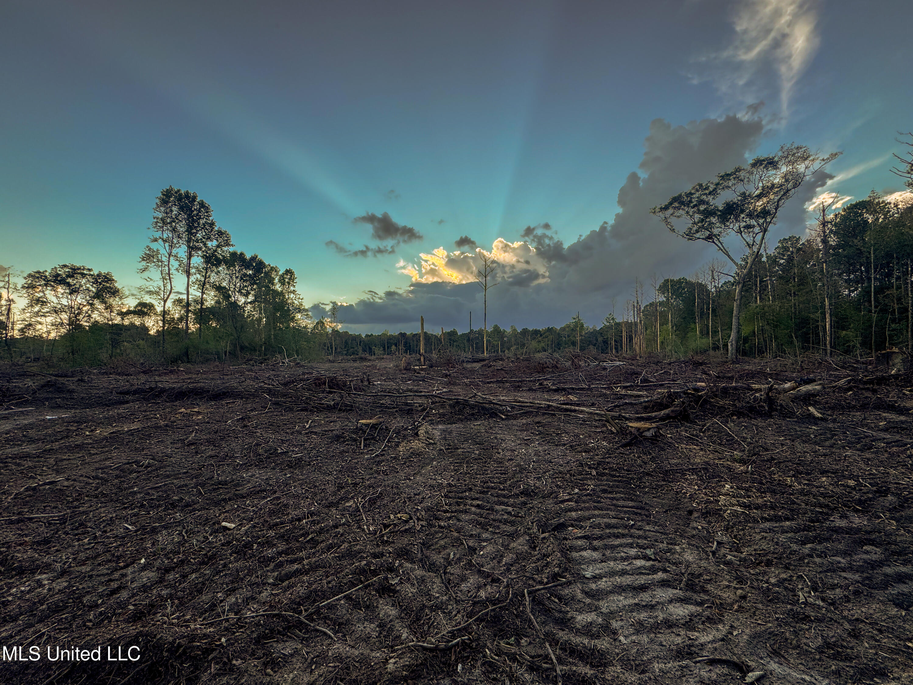 Ashley Road Property Photo 2