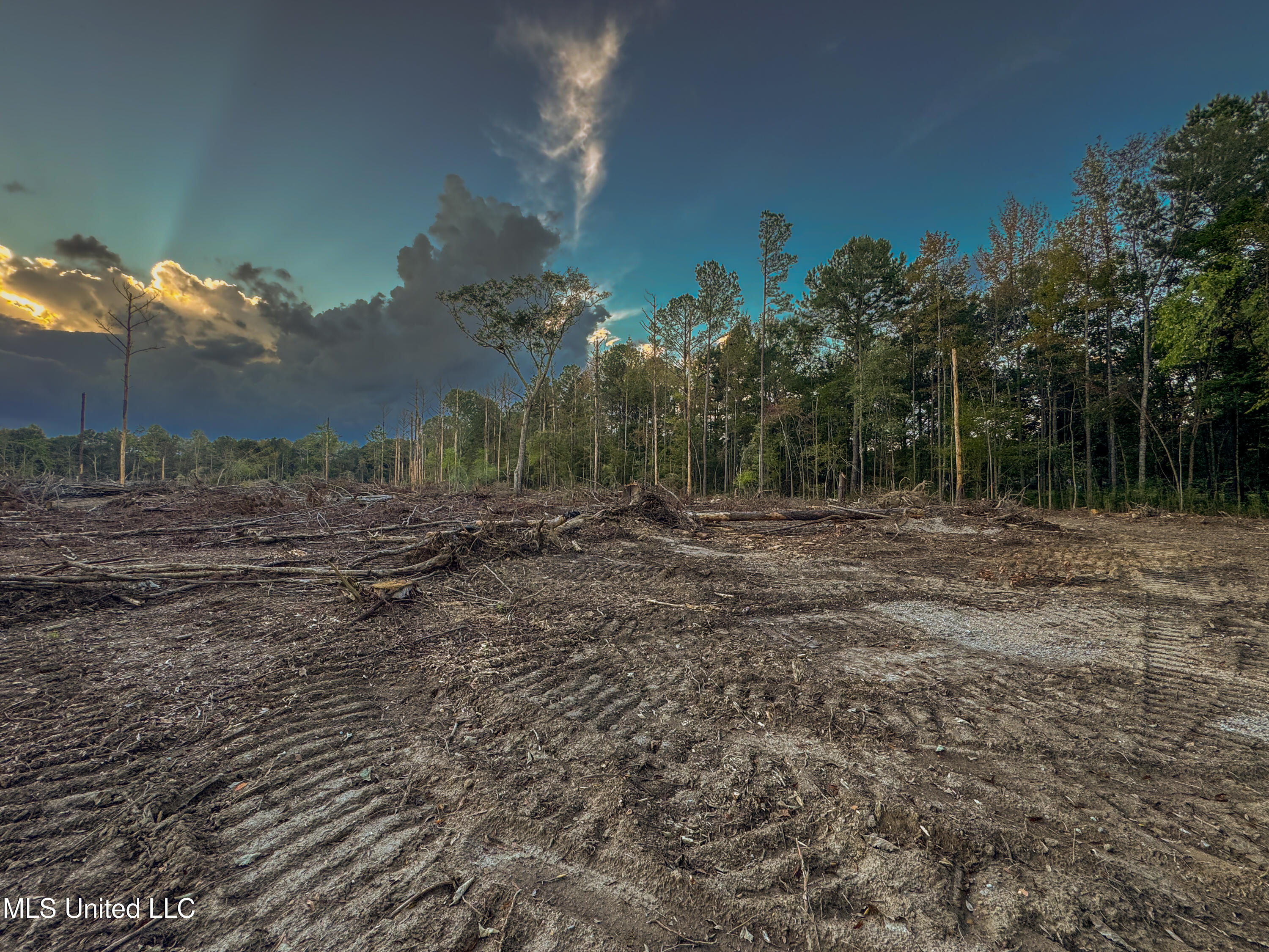 Ashley Road Property Photo 3